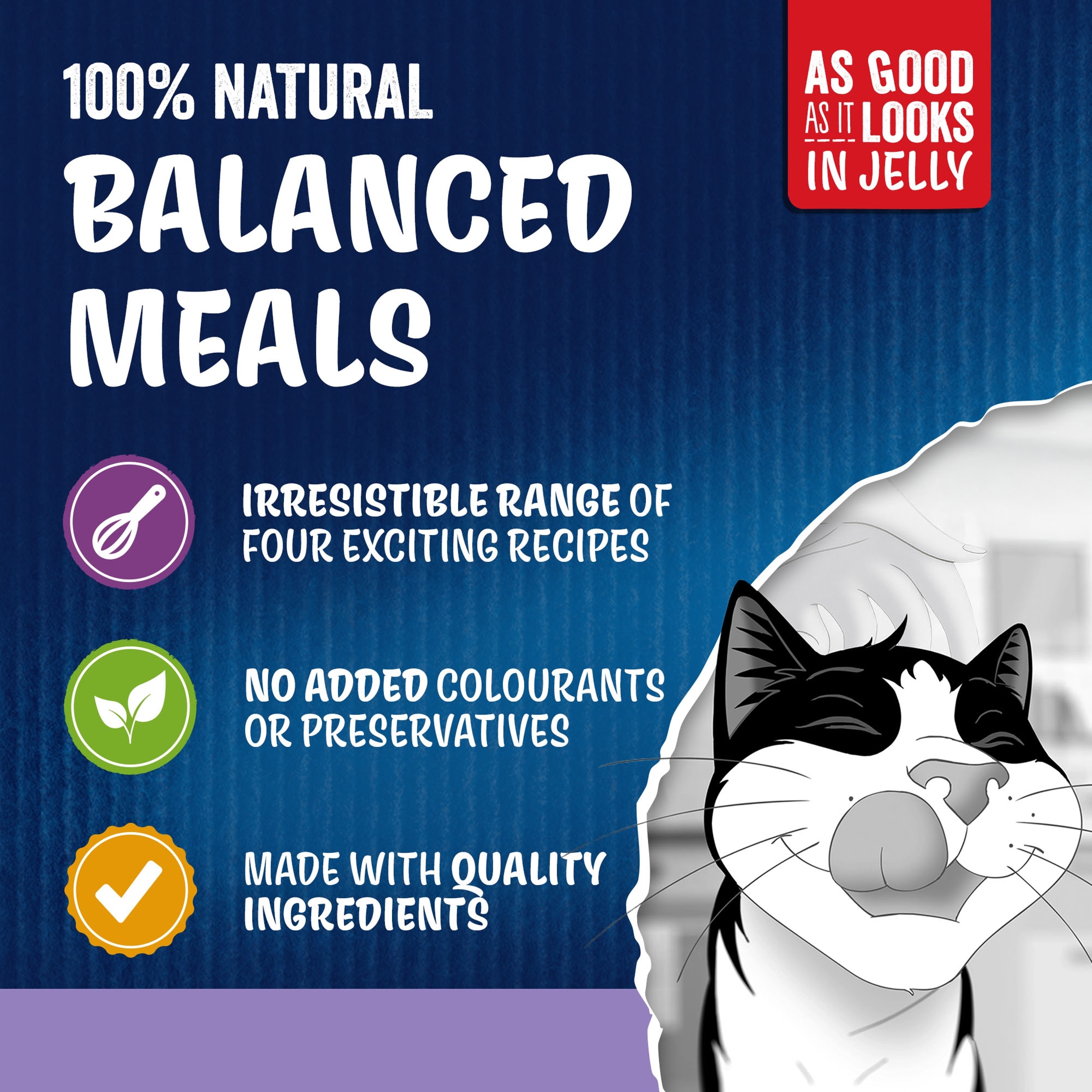 Felix As Good As It Looks Senior 7+ Mixed in Jelly Wet Cat Food 40x85g  thumbnail 4