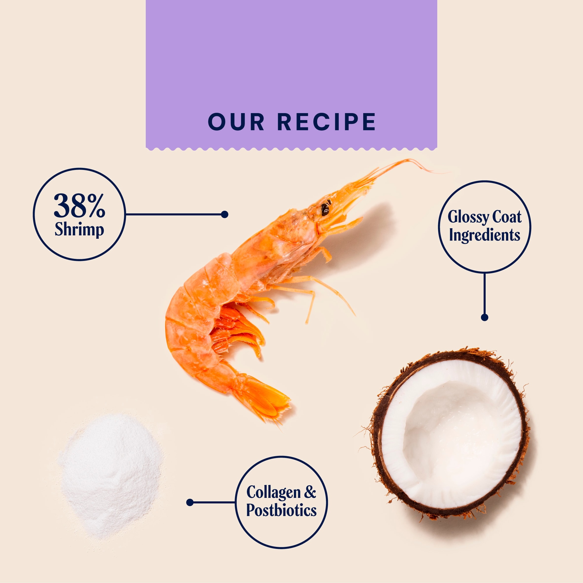Pooch & Mutt Probiotic Meaty Dog Treats - Shrimp & Coconut 120g thumbnail 5