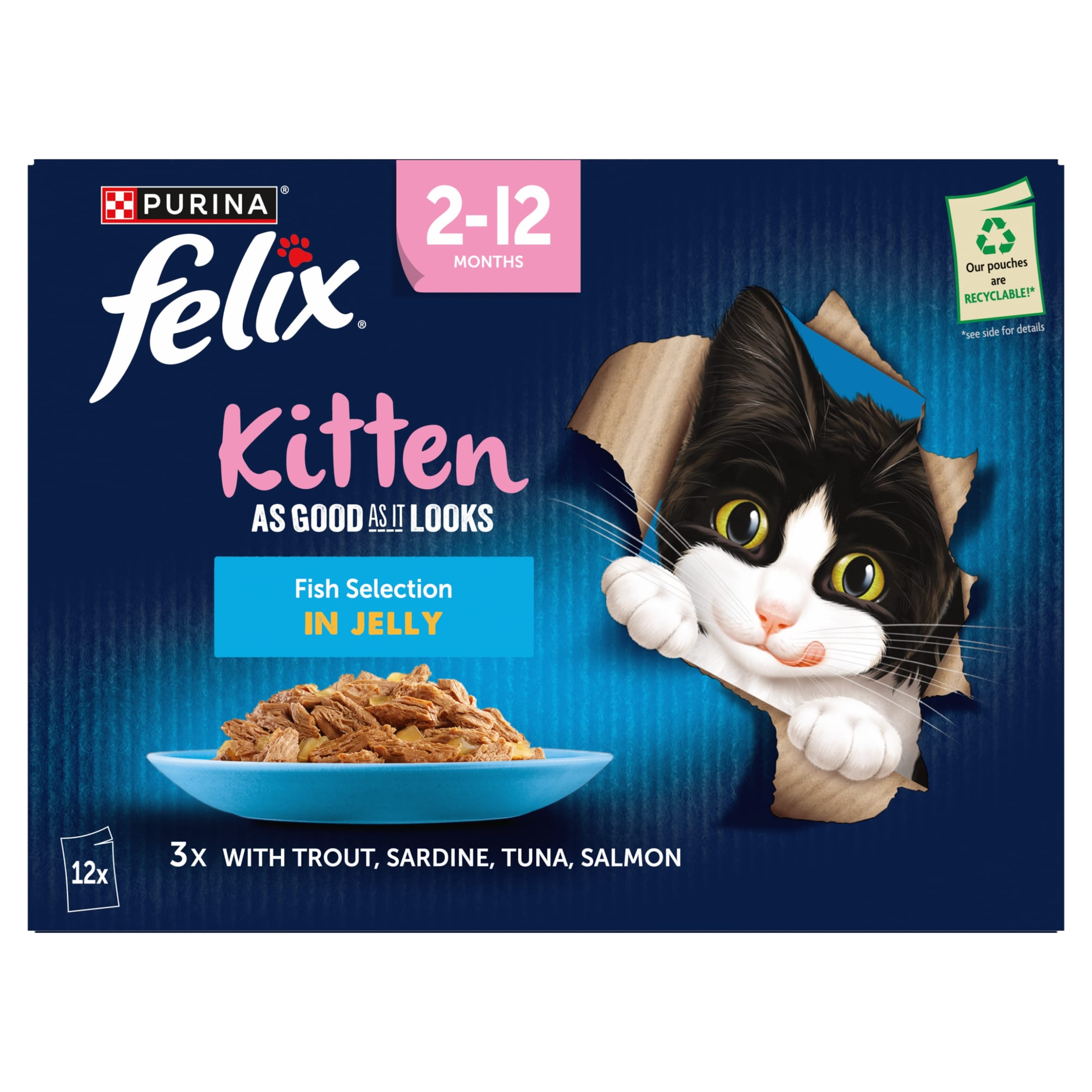Felix As Good As it Looks Kitten Fish in Jelly Wet Cat Food 12x85g thumbnail 2