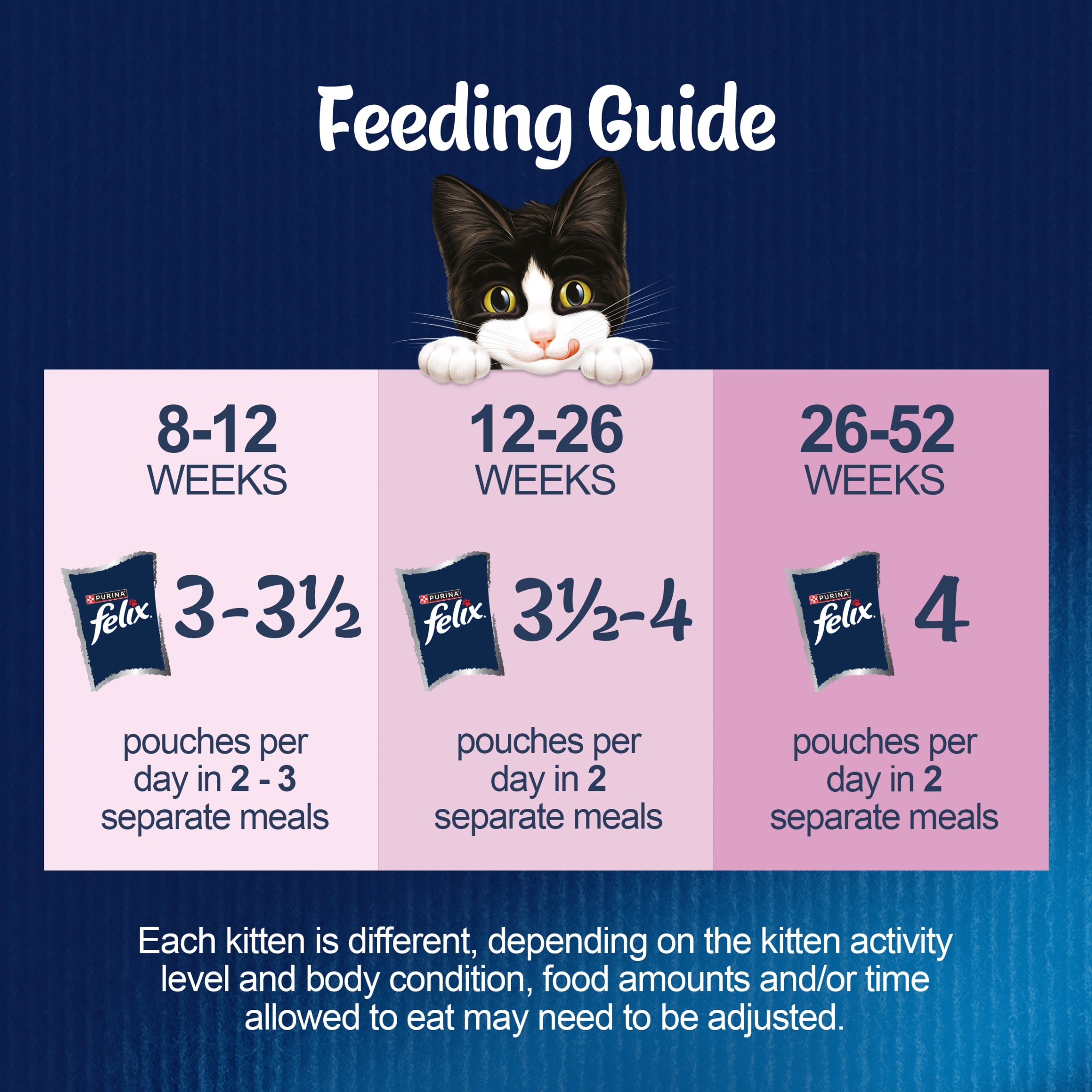 Felix As Good As it Looks Kitten Fish in Jelly Wet Cat Food 12x85g thumbnail 4