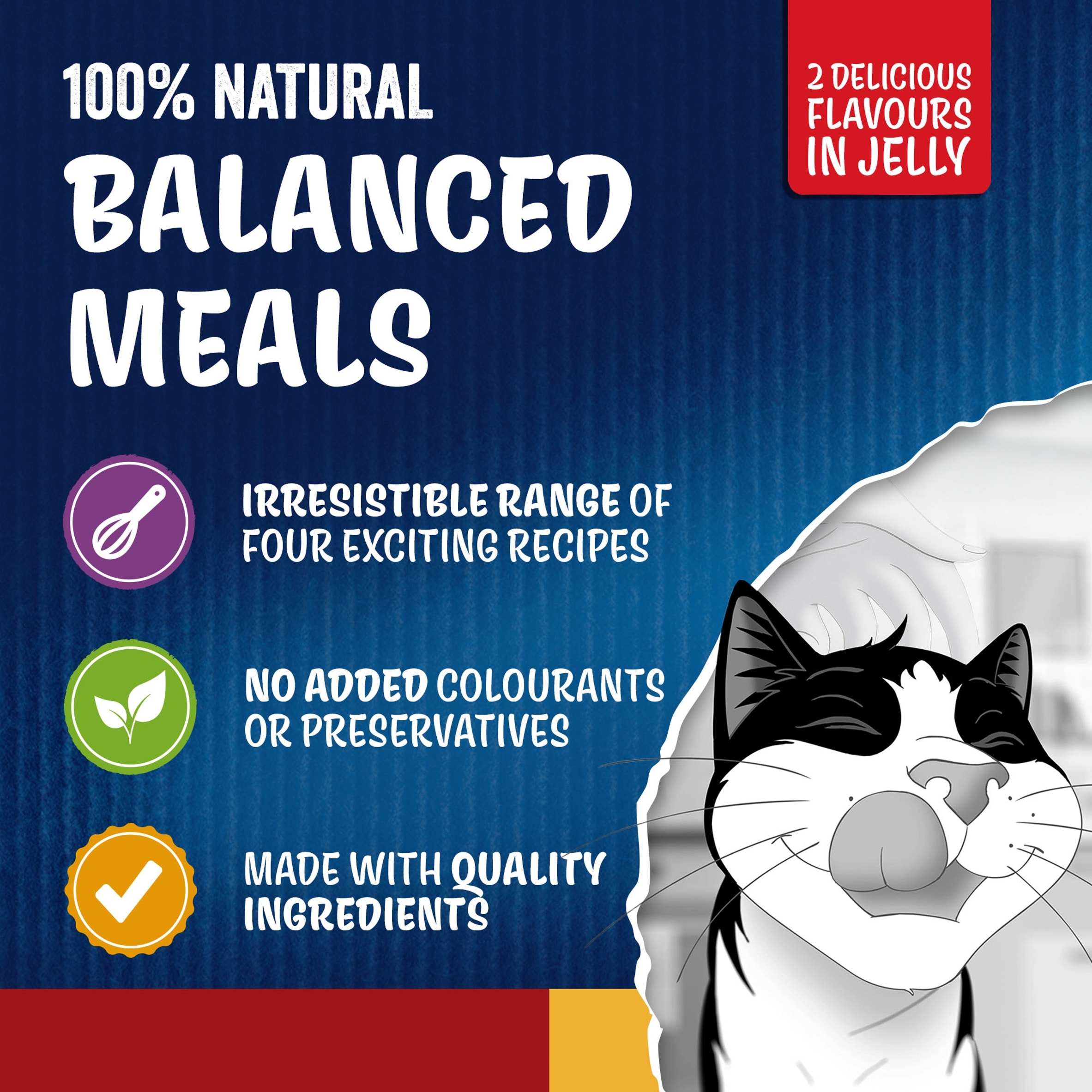 Felix Doubly Delicious Meat Countryside Selection in Jelly Wet Cat Food 40x85g thumbnail 4