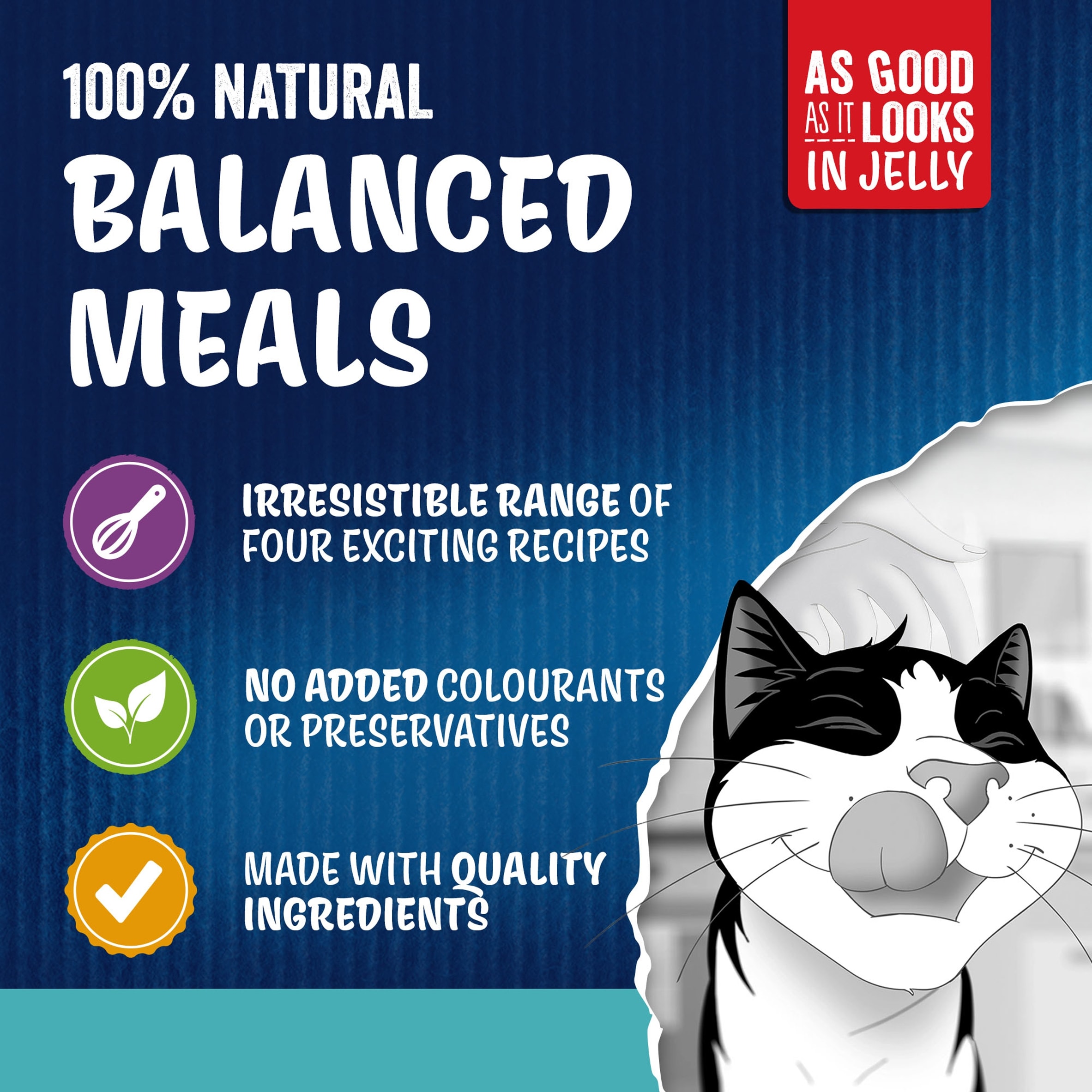 FELIX As Good As it Looks Ocean Feasts in Jelly Wet Cat Food 40x85g thumbnail 4