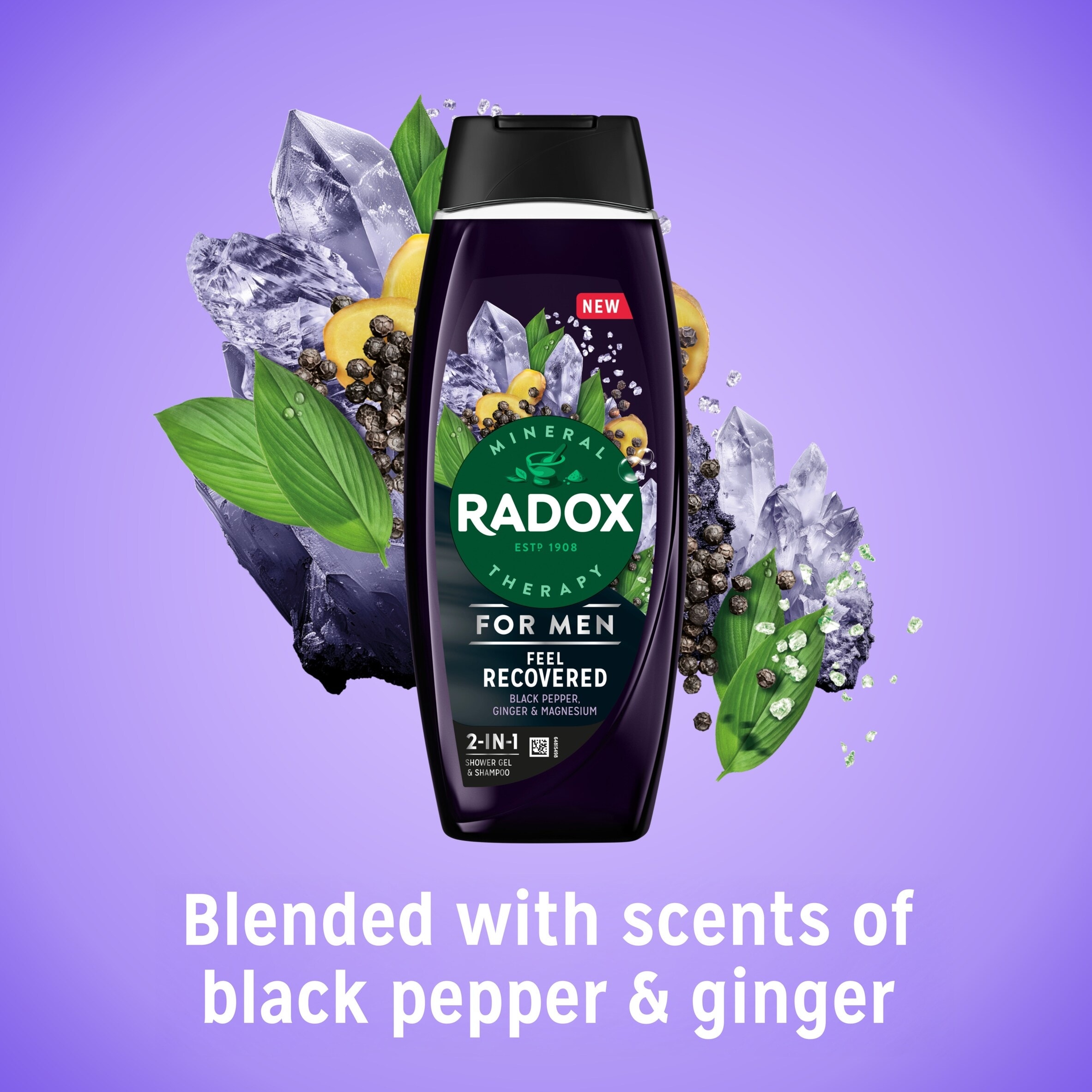 Radox For Men Feel Recovered 2in1 Shower Gel & Shampoo 450ml thumbnail 2