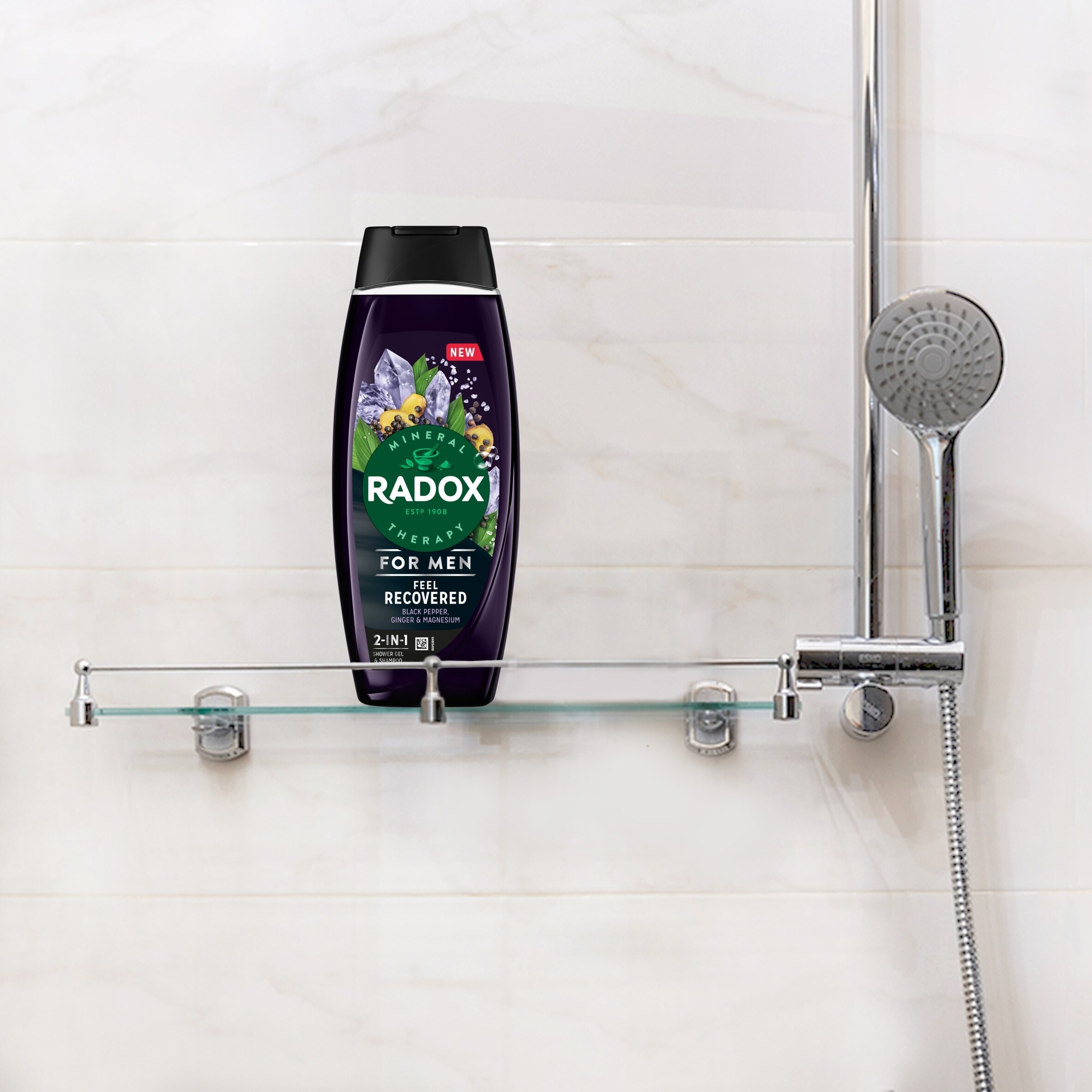 Radox For Men Feel Recovered 2in1 Shower Gel & Shampoo 450ml thumbnail 4