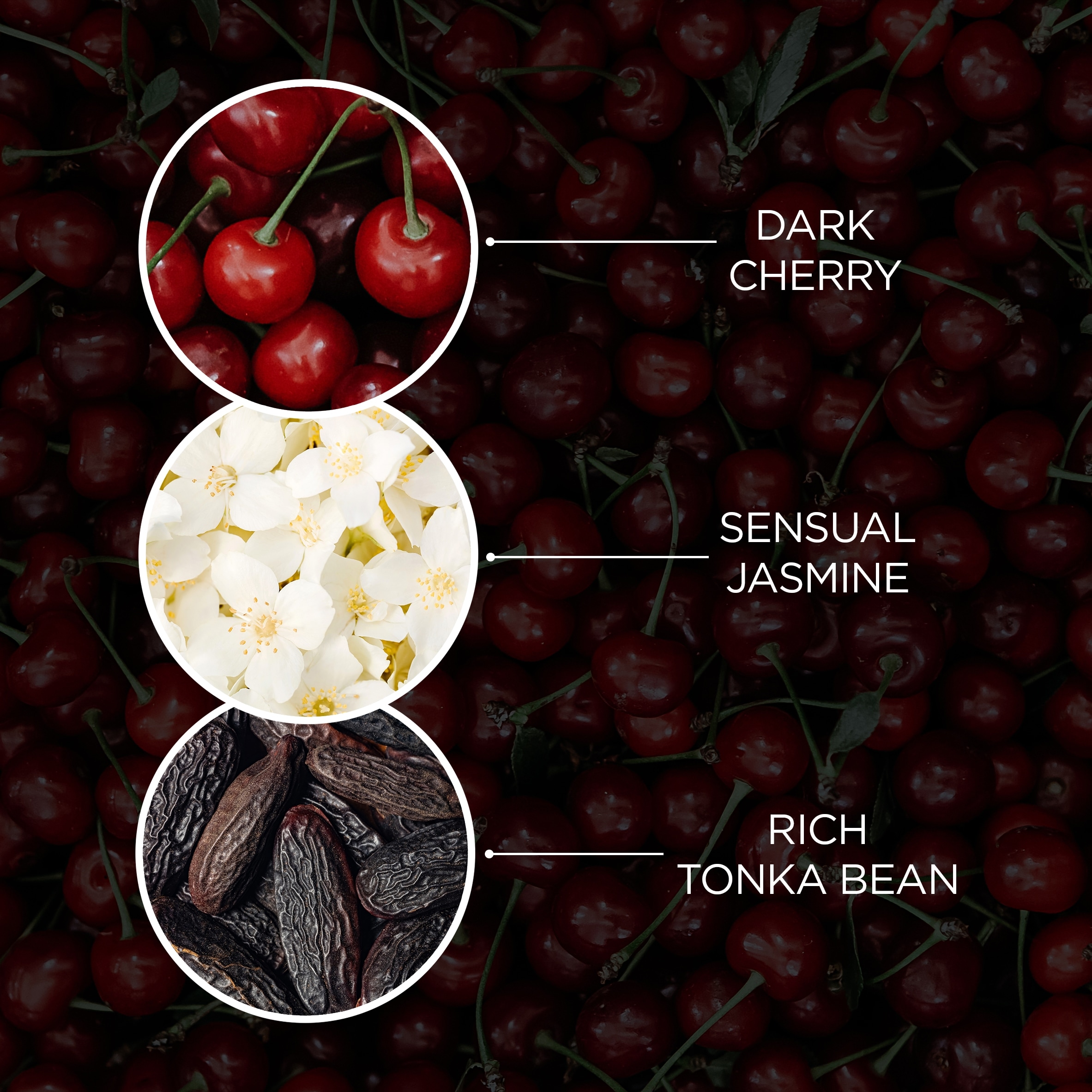 Baylis & Harding EDIT Cherry Temptation Body Wash 400ml thumbnail 5