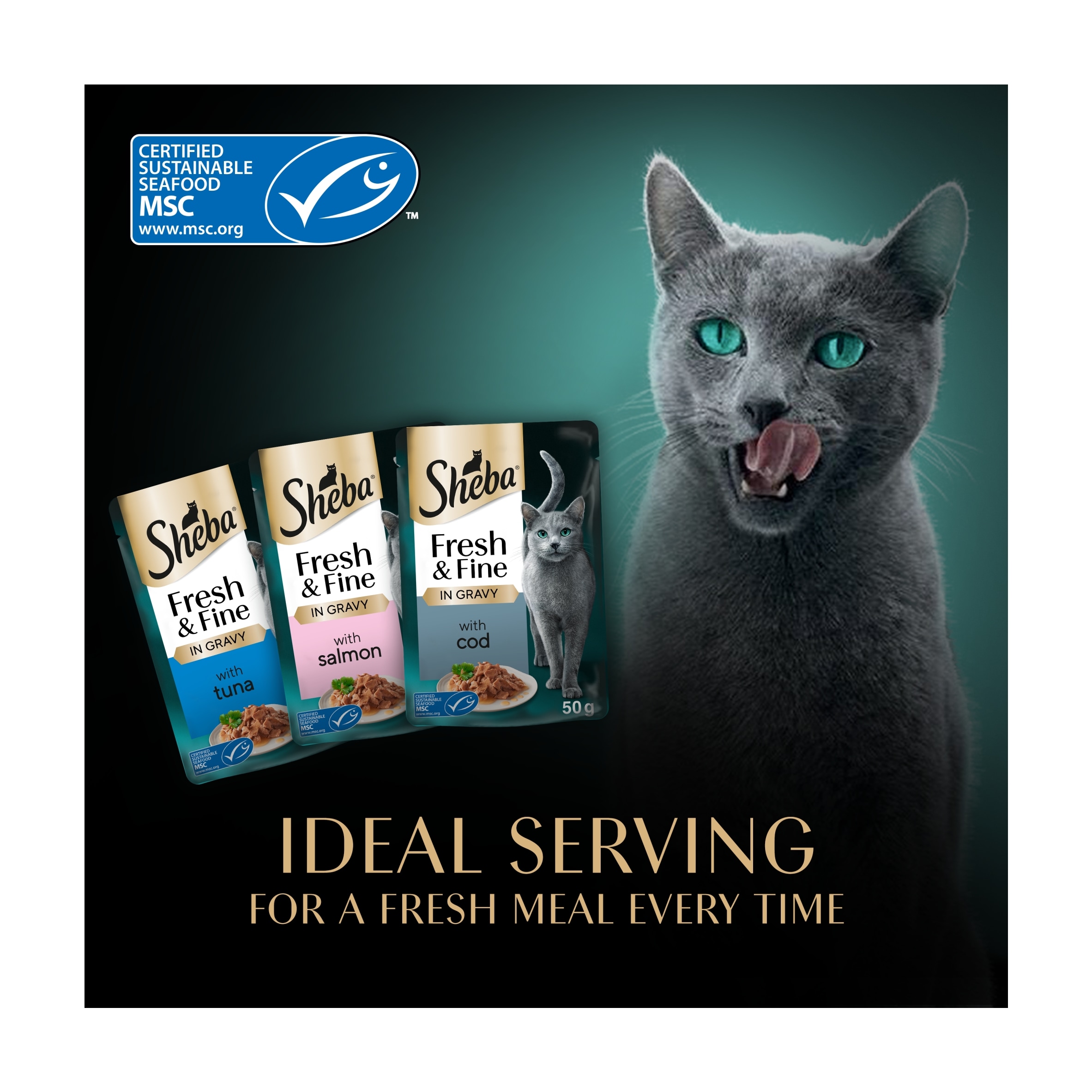 SHEBA Fresh & Fine Wet Cat Food Pouches Fish collection in Gravy 50x50g thumbnail 4