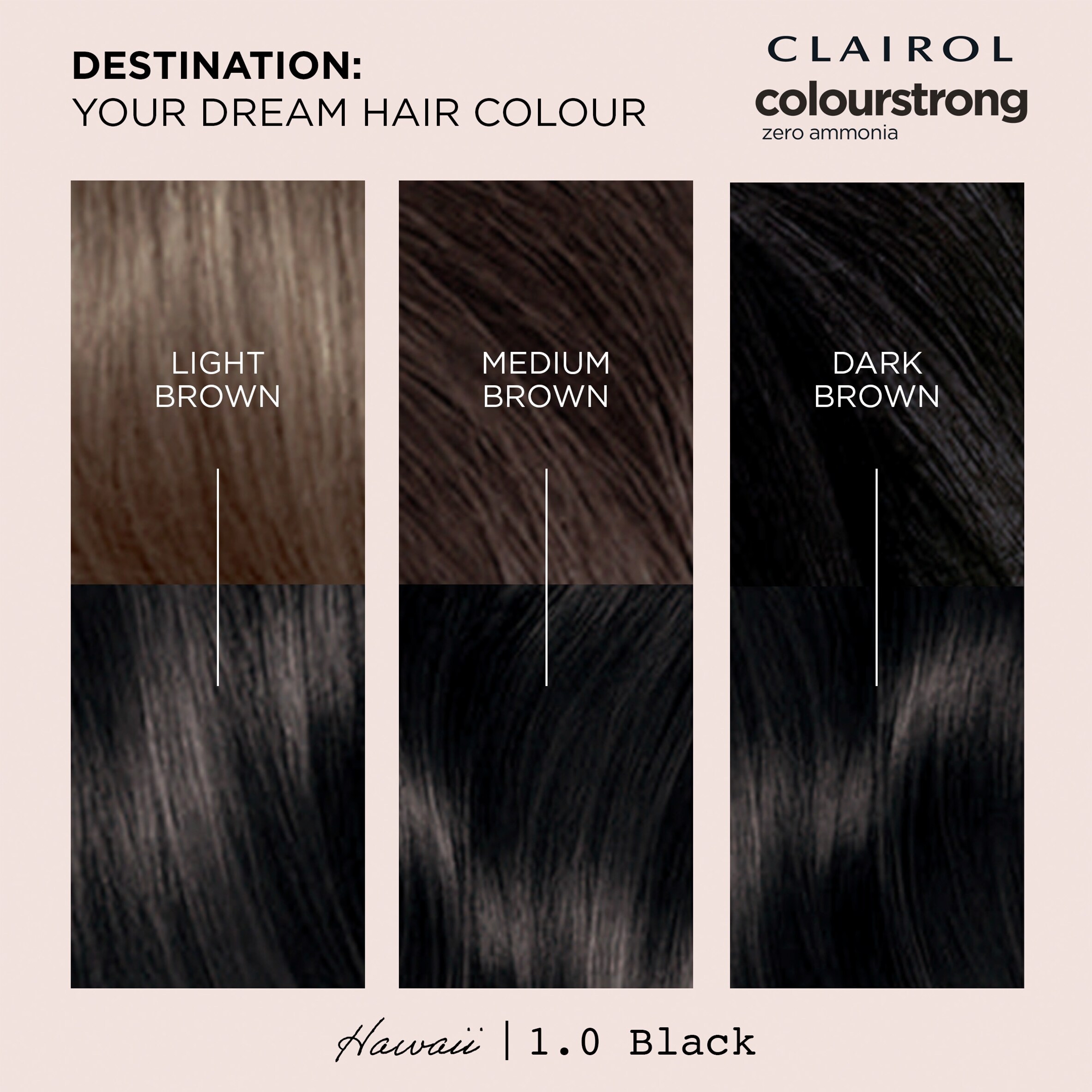 CLAIROL COLOUR STRONG PERMANENT HAIR DYE - 1.0 BLACK thumbnail 2