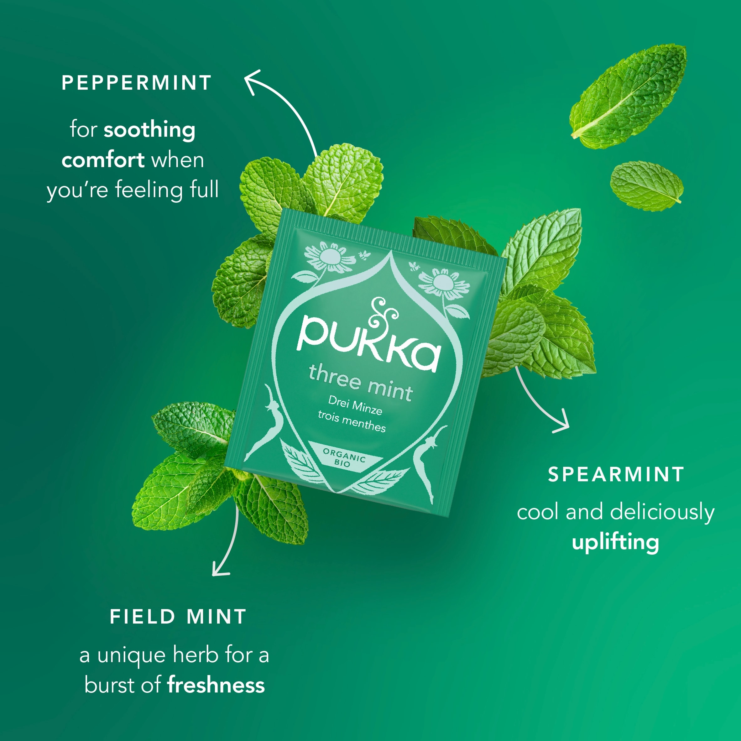Pukka Organic Three Mint Tea With Peppermint for Digestion 40 Herbal Tea Bags 64g thumbnail 3