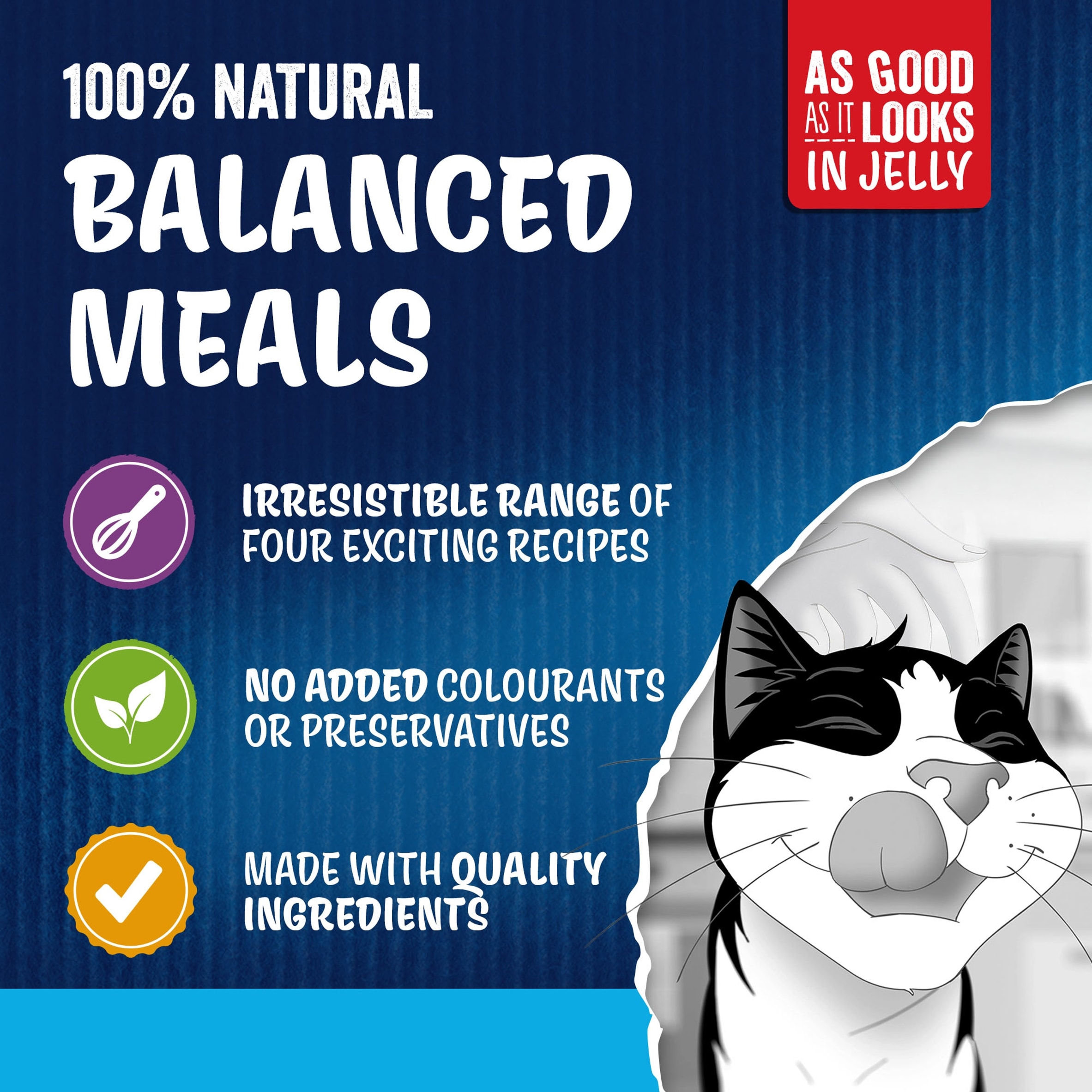 FELIX As Good As it Looks Senior 7+ Fish in Jelly Wet Cat Food 40x85g thumbnail 4