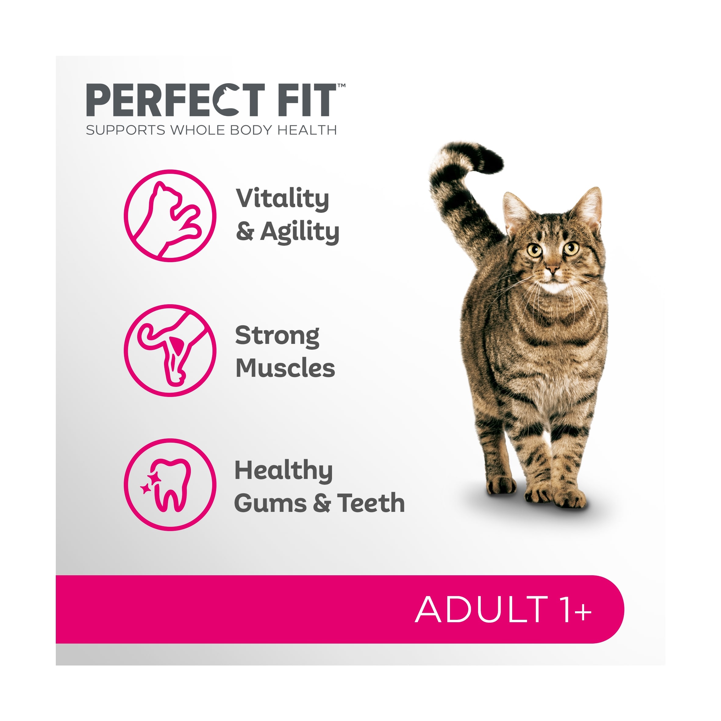 PERFECT FIT Cat Complete Dry Food Adult 1+ Chicken 2.8kg thumbnail 2