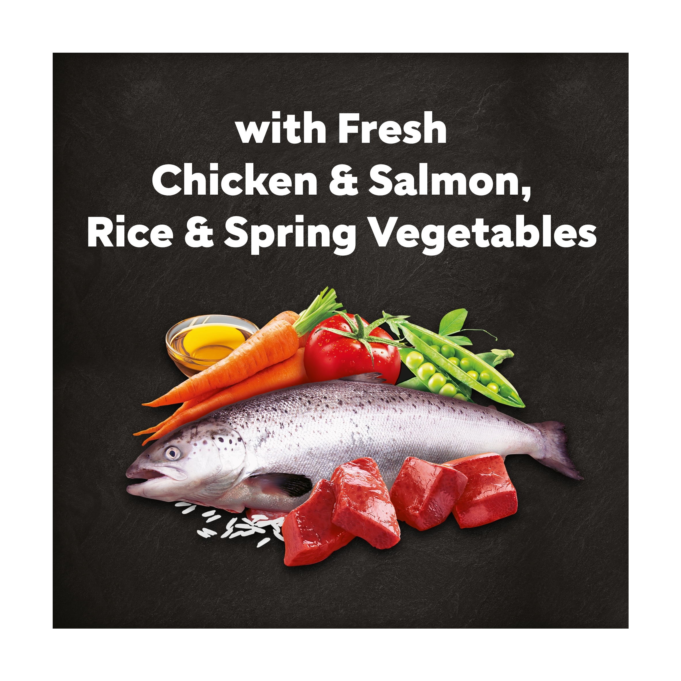 Cesar Adult Dry Dog Food Chicken, Salmon & Vegetables 1.4kg thumbnail 4