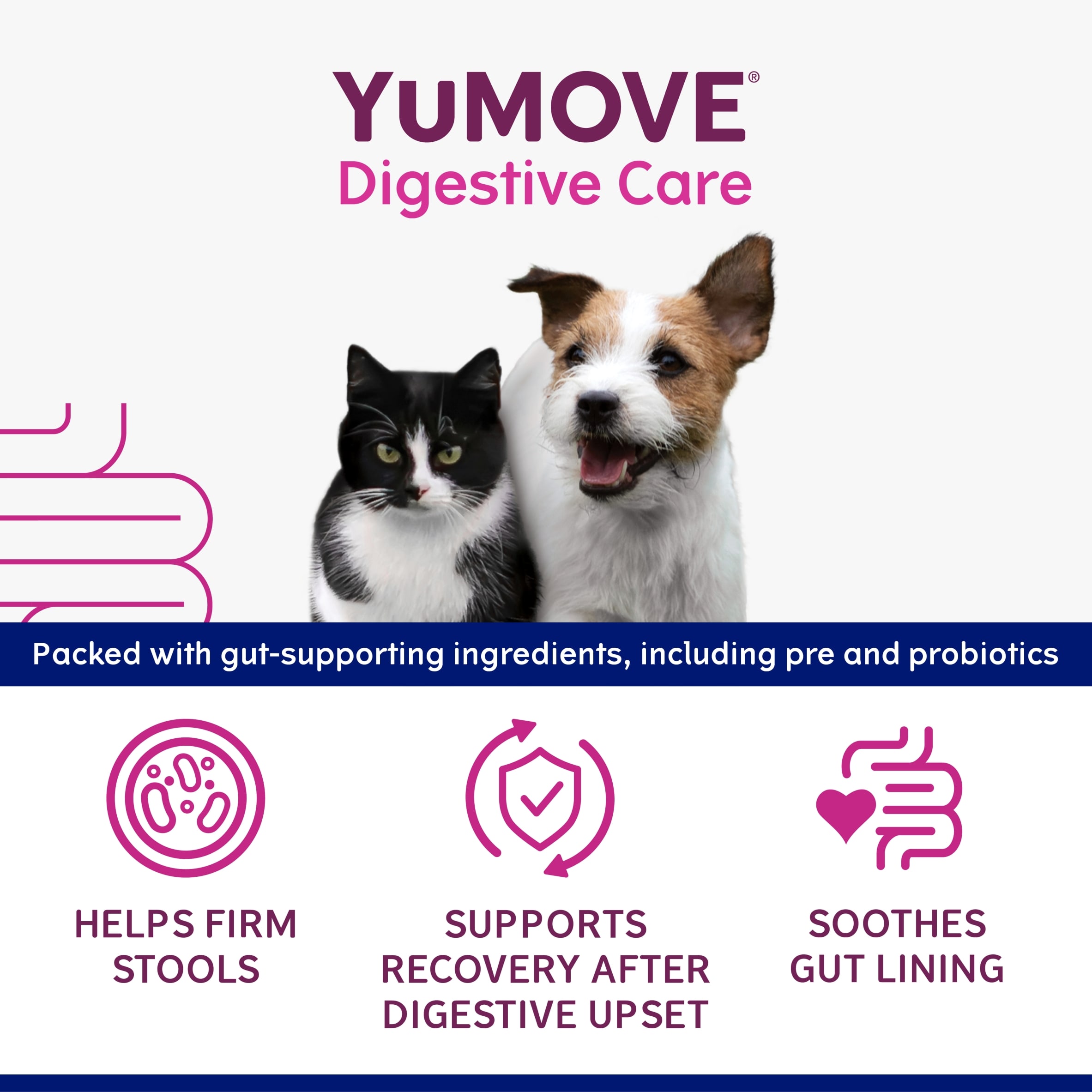 YuMove Digestive Care Rapid for Cats & Dogs 30ml thumbnail 2