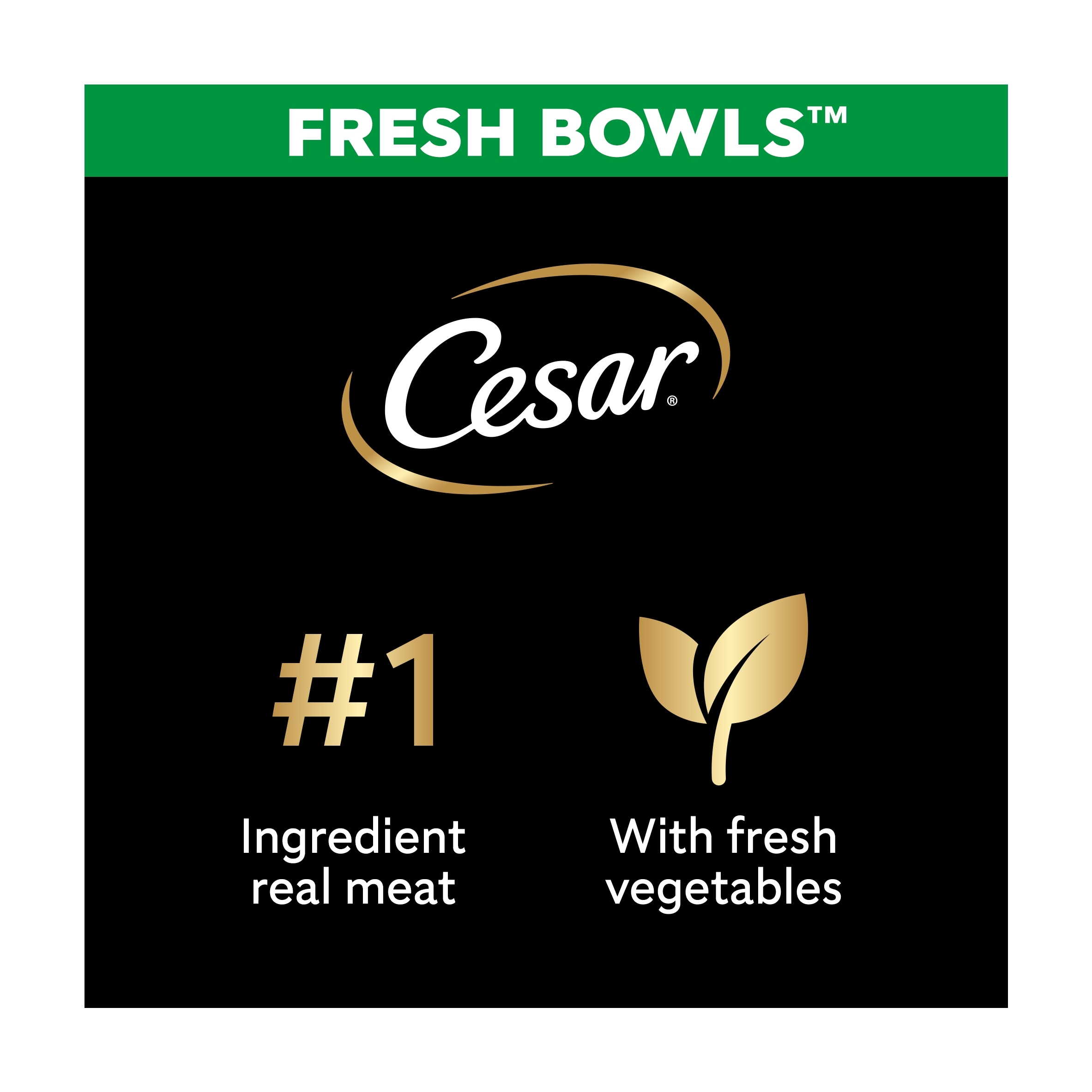 CESAR Wet Dog Food Fresh Bowls mixed selection of Poultry and Fresh Vegetables 6 x 85g thumbnail 2