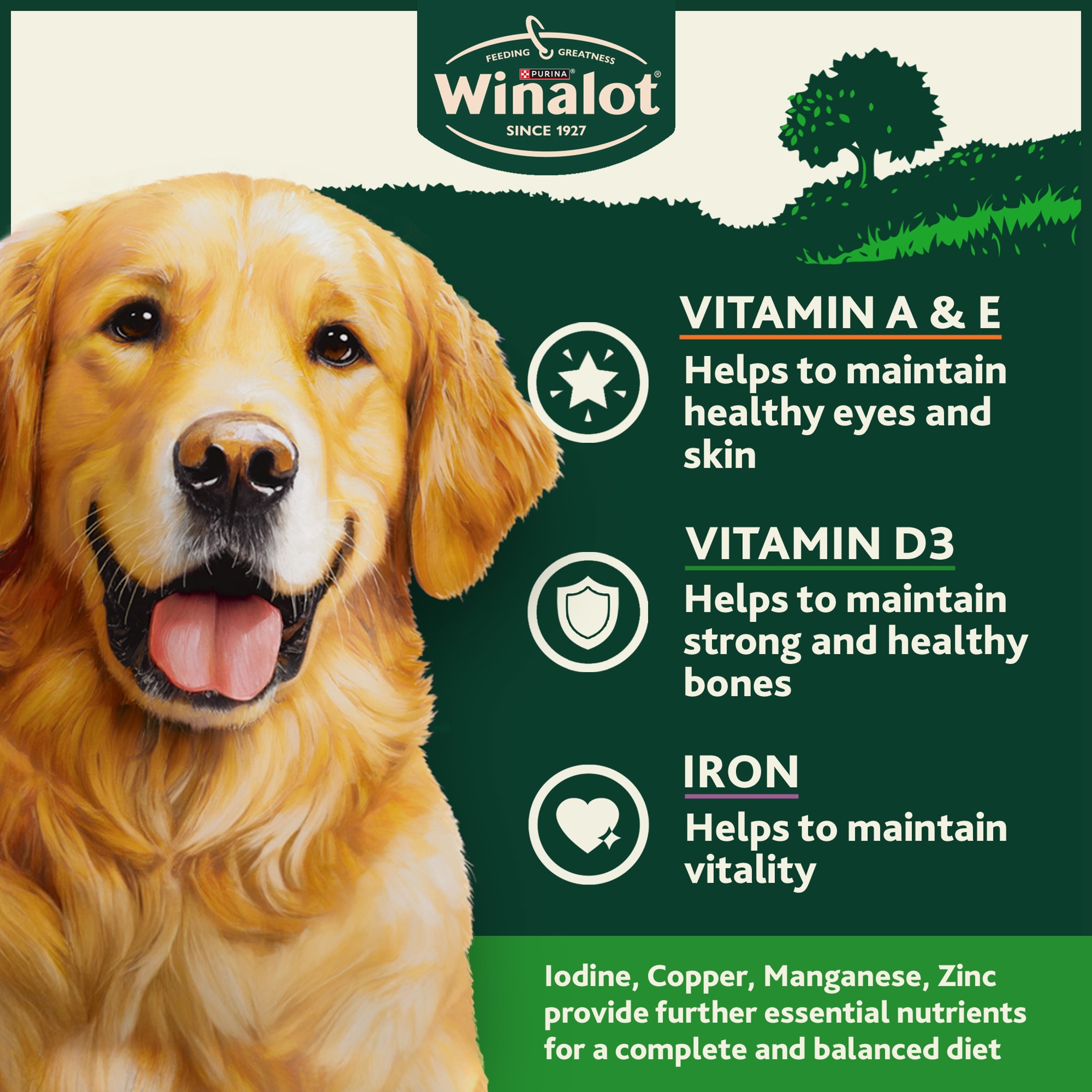 WINALOT® Classics Meat in Jelly Wet Dog Food 6x400g thumbnail 4