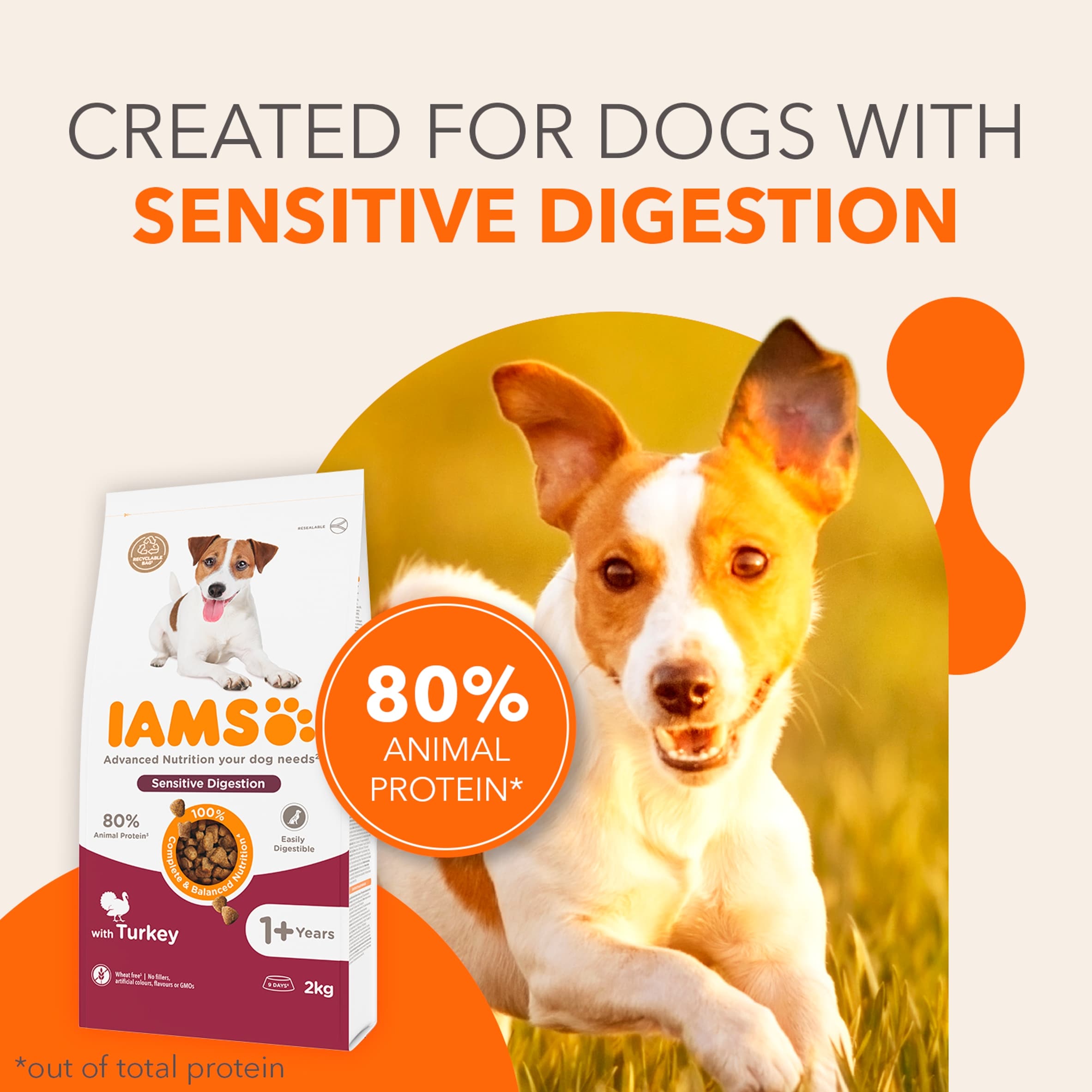 IAMS Adult Sensitive Dry Dog Food Turkey 2kg thumbnail 2