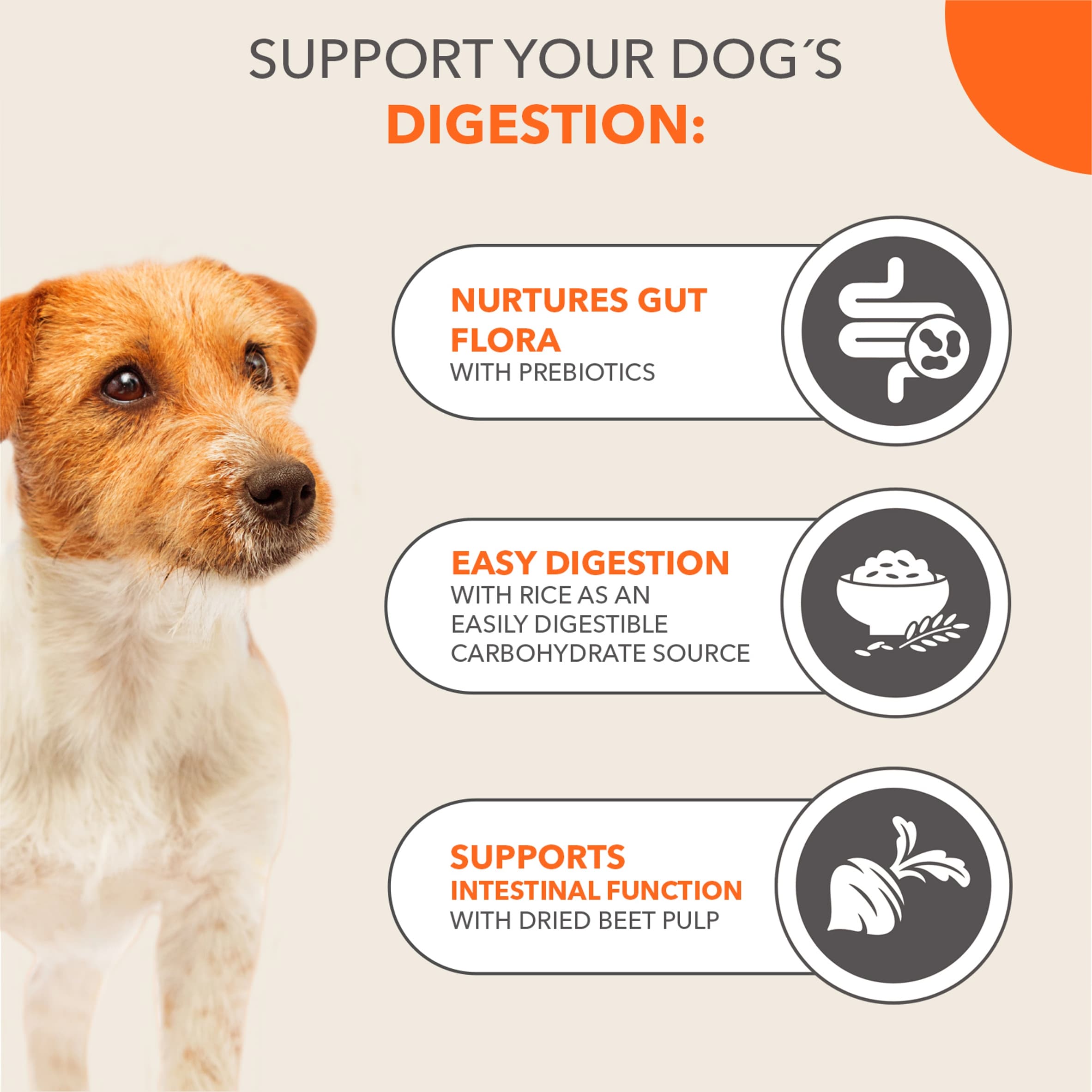 IAMS Adult Sensitive Dry Dog Food Turkey 2kg thumbnail 3