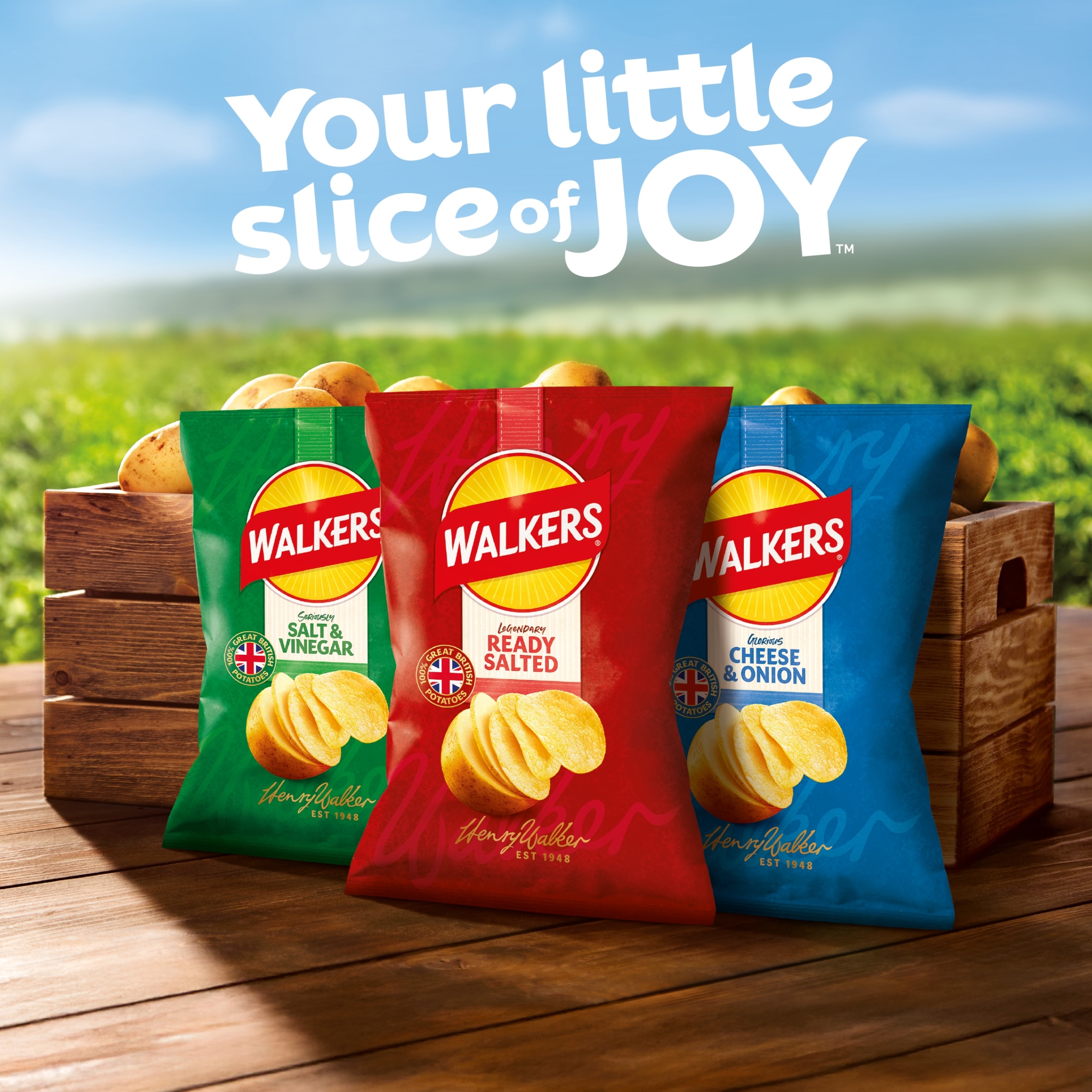 Walkers Salt & Vinegar Multipack Crisps 6 x 25g thumbnail 3