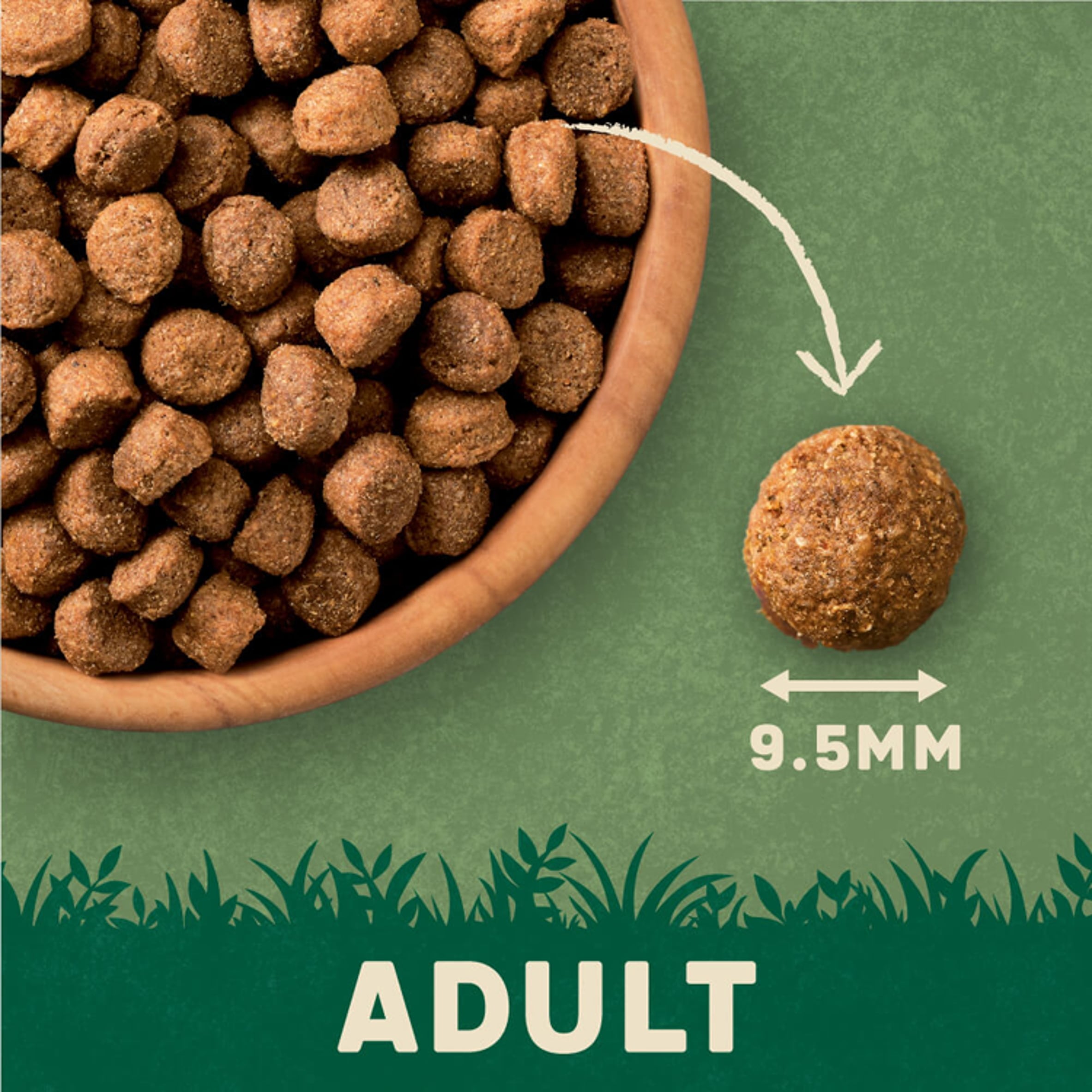 Harringtons Adult Dry Dog Food, Lamb 1kg thumbnail 3