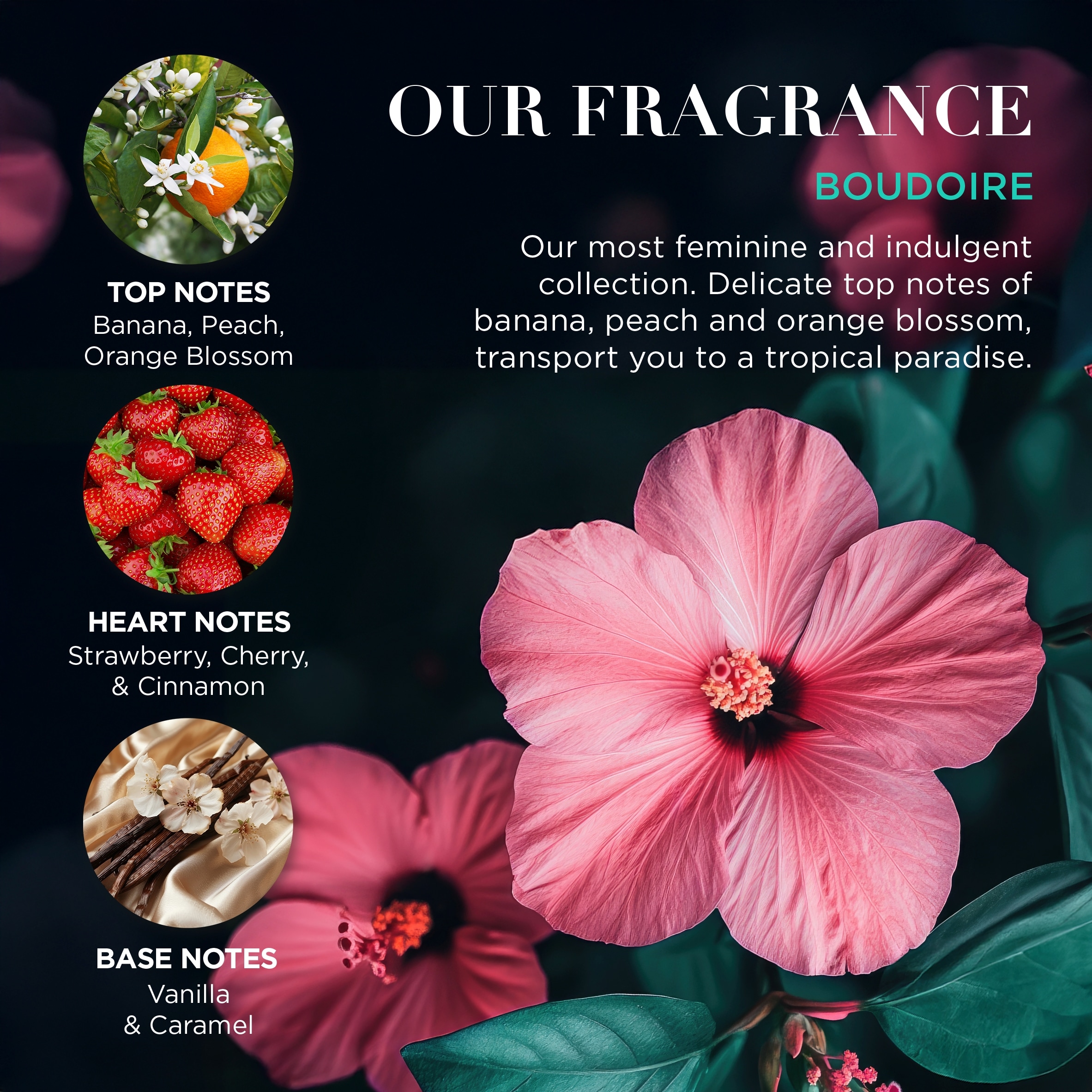 Baylis & Harding Boudoire Discovery Gift Set thumbnail 4