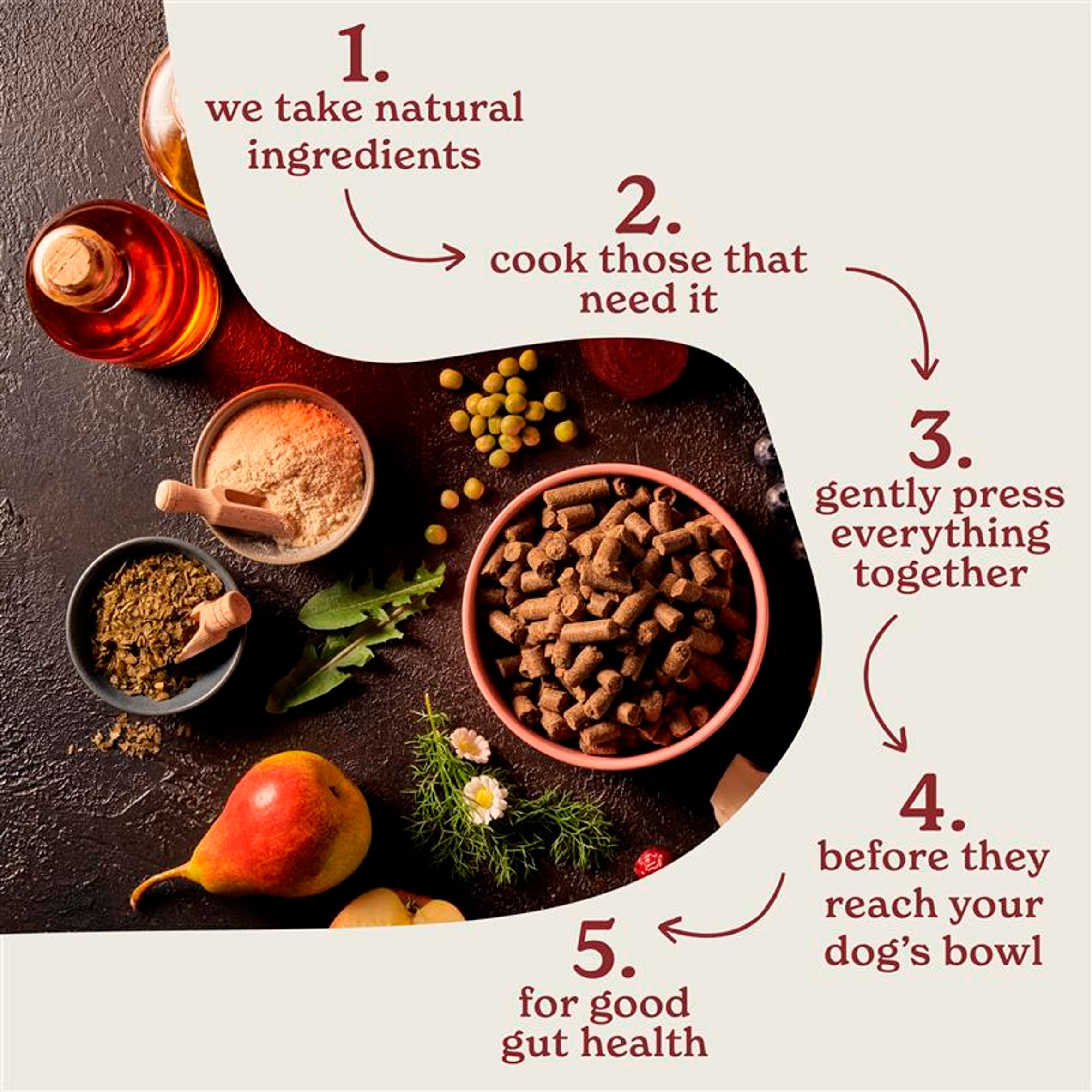 Forthglade Cold Pressed Grain Free Chicken dog Food 2kg thumbnail 3