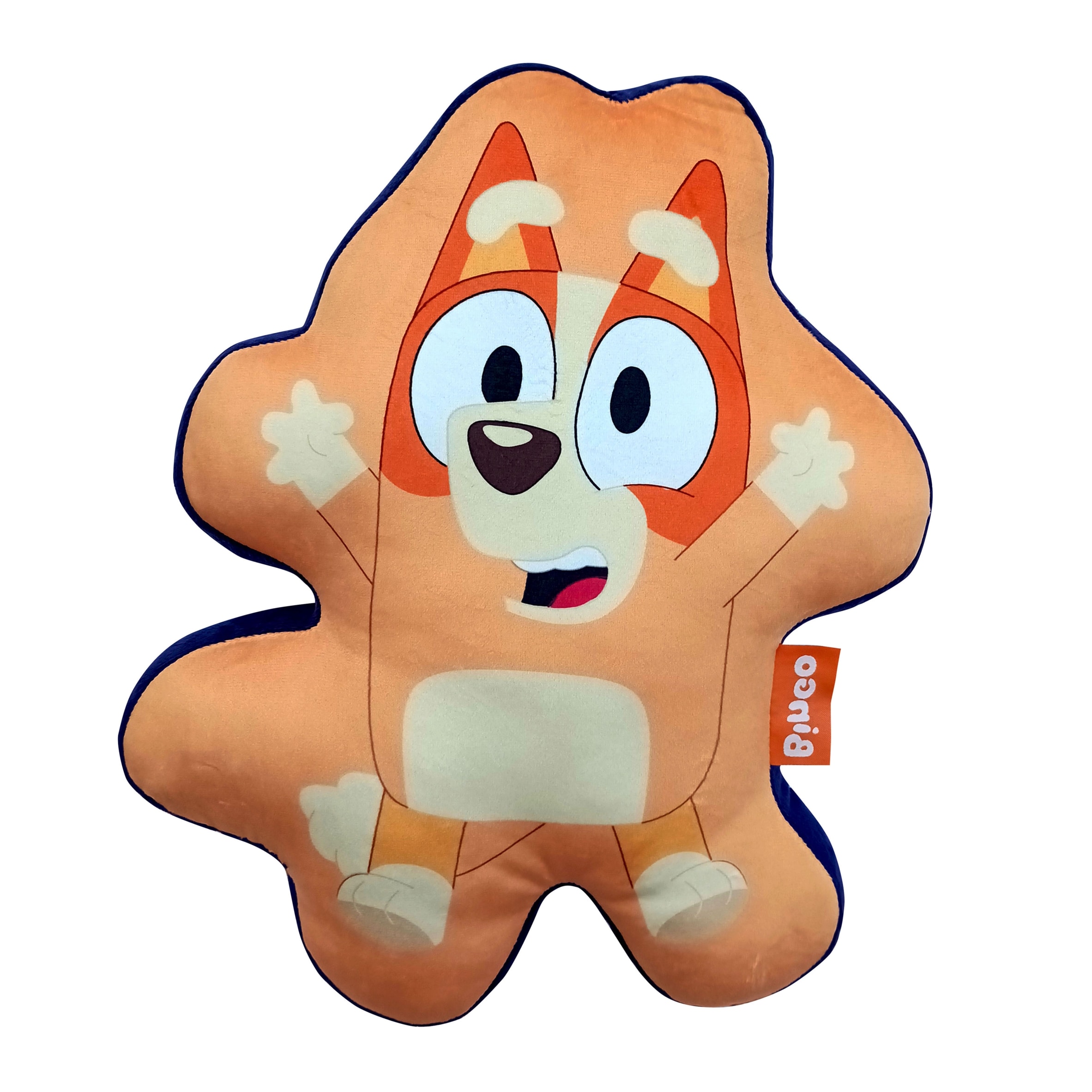 Bluey & Bingo Reversible Cushion thumbnail 2