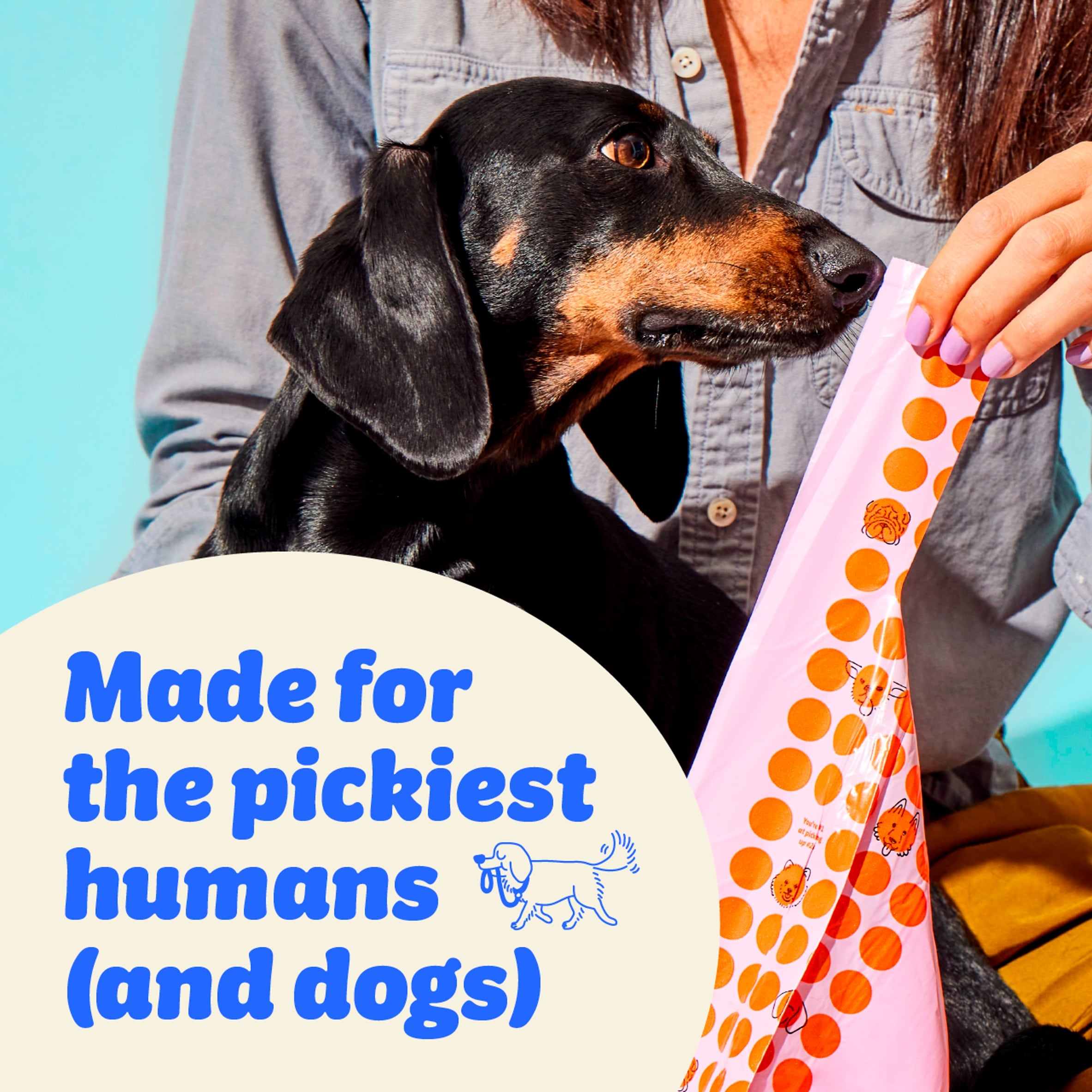 Who Gives A Crap Super Strong 100 Dog Poo Bags thumbnail 3