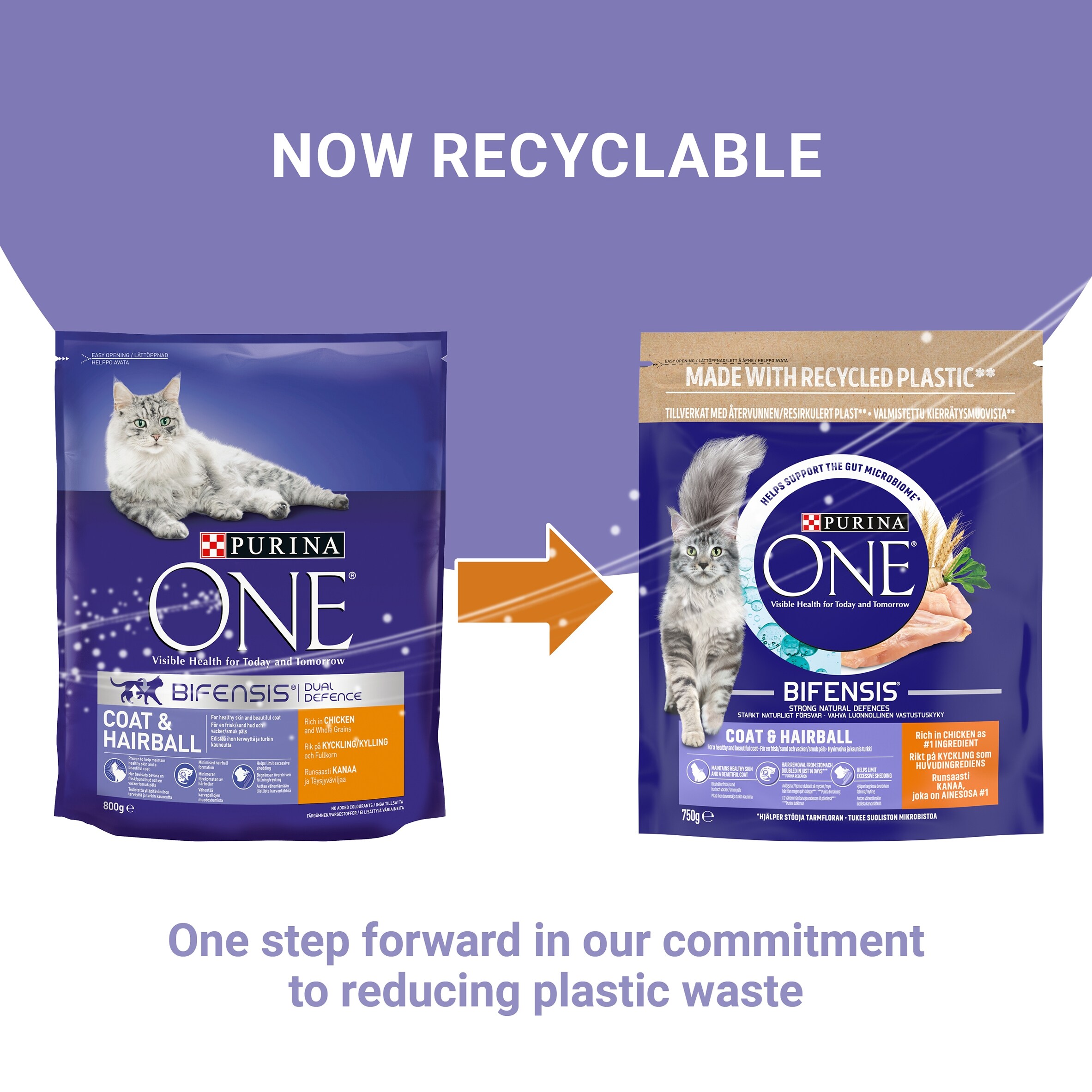 PURINA ONE Coat and Hairball Chicken Dry Cat Food 750g thumbnail 2
