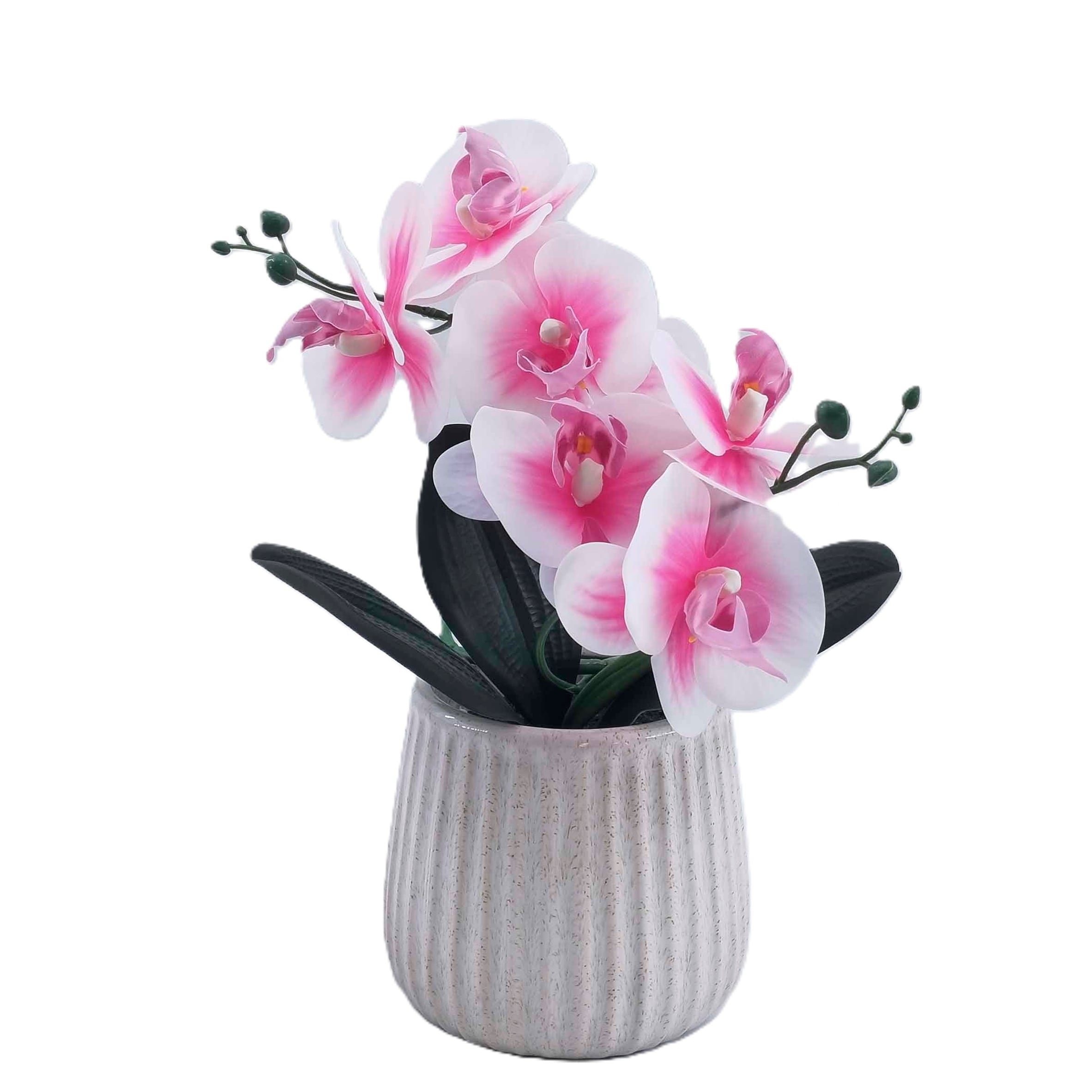Bayswood Flora & Fern Small Pink Orchid in Ceramic Pot