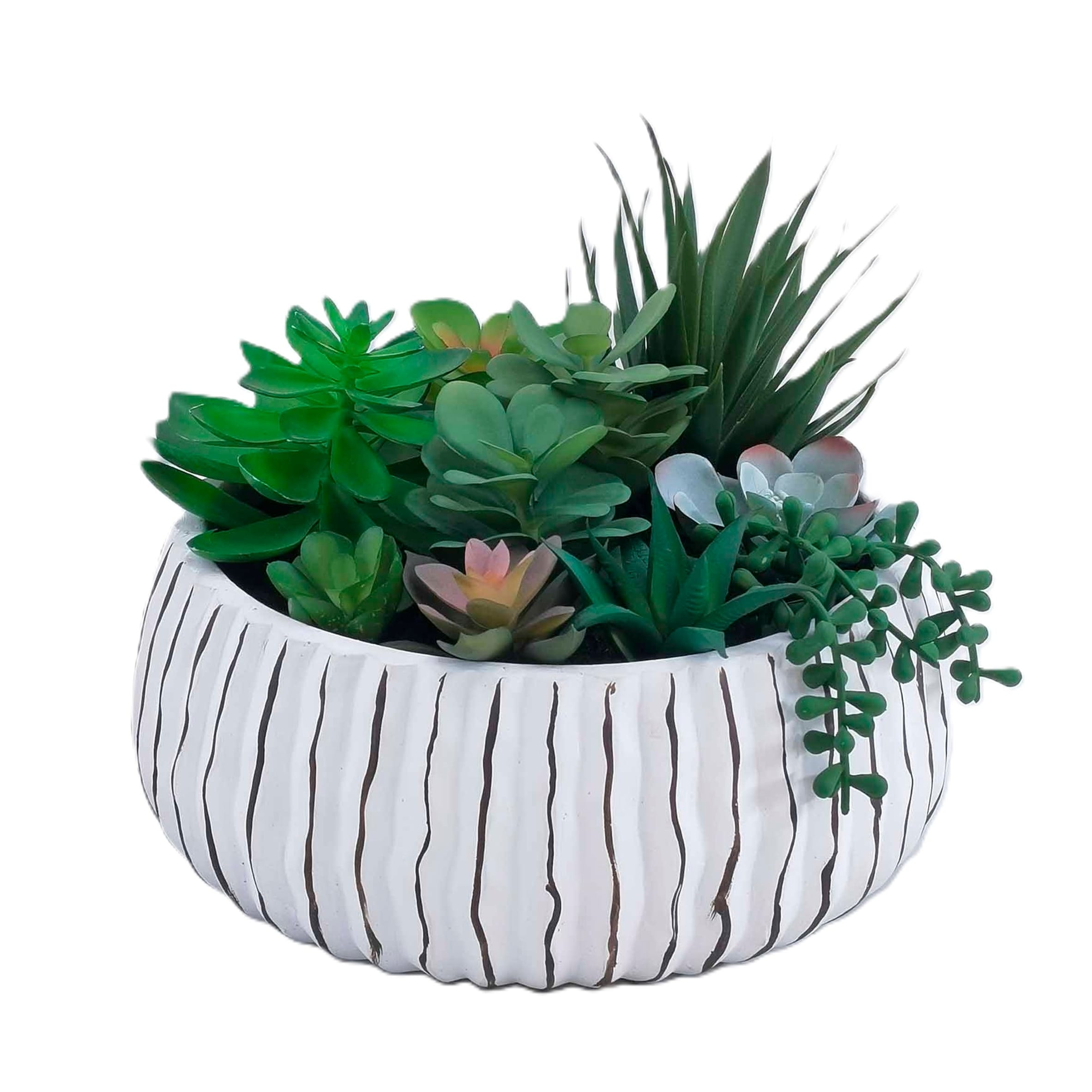 Bayswood Flora & Fern XL Succulent Garden