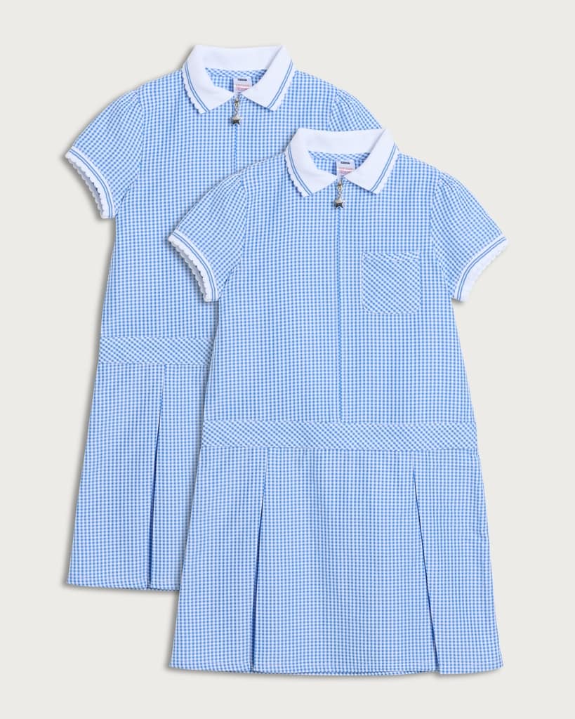 F&F School Girls 2-Pack Gingham Short Sleeved Dresses in Blue thumbnail 4