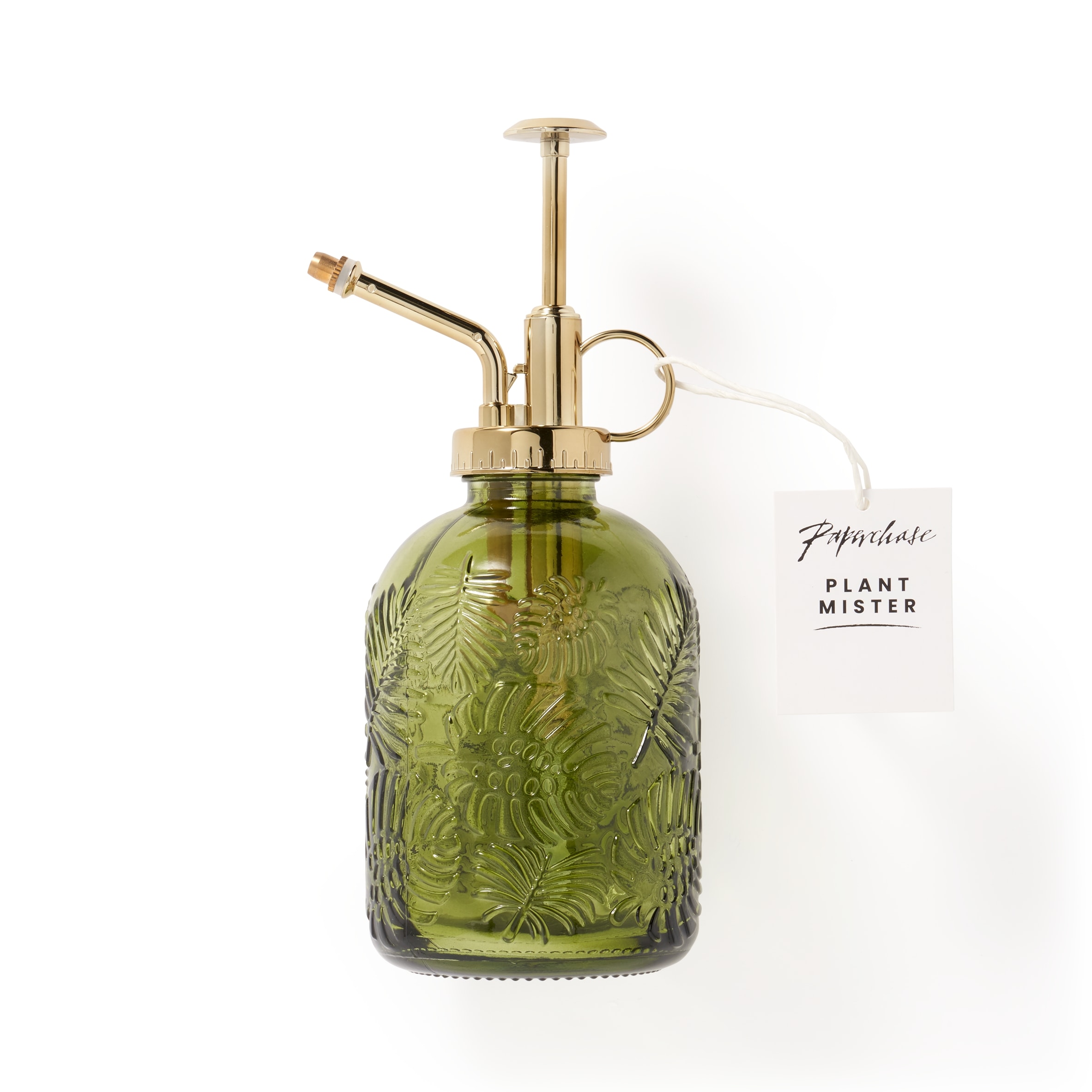 Paperchase Tropic Like its Hot Green Leaf Plant Mister