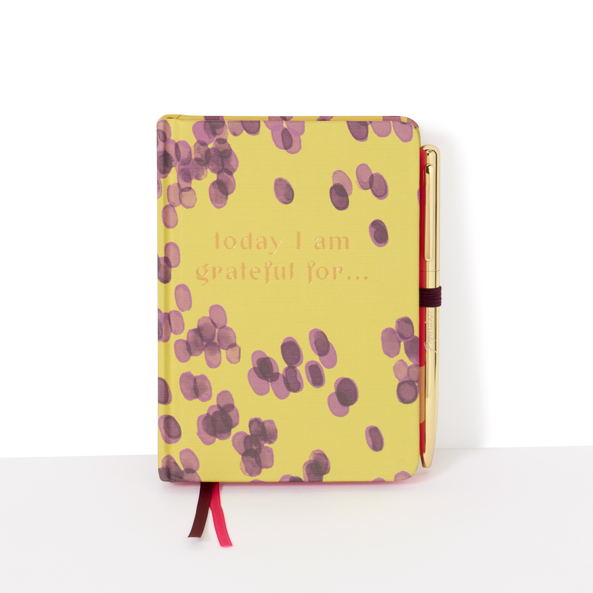 Paperchase Tropic Like its Hot A6 Casebound Gratitude Journal thumbnail 2