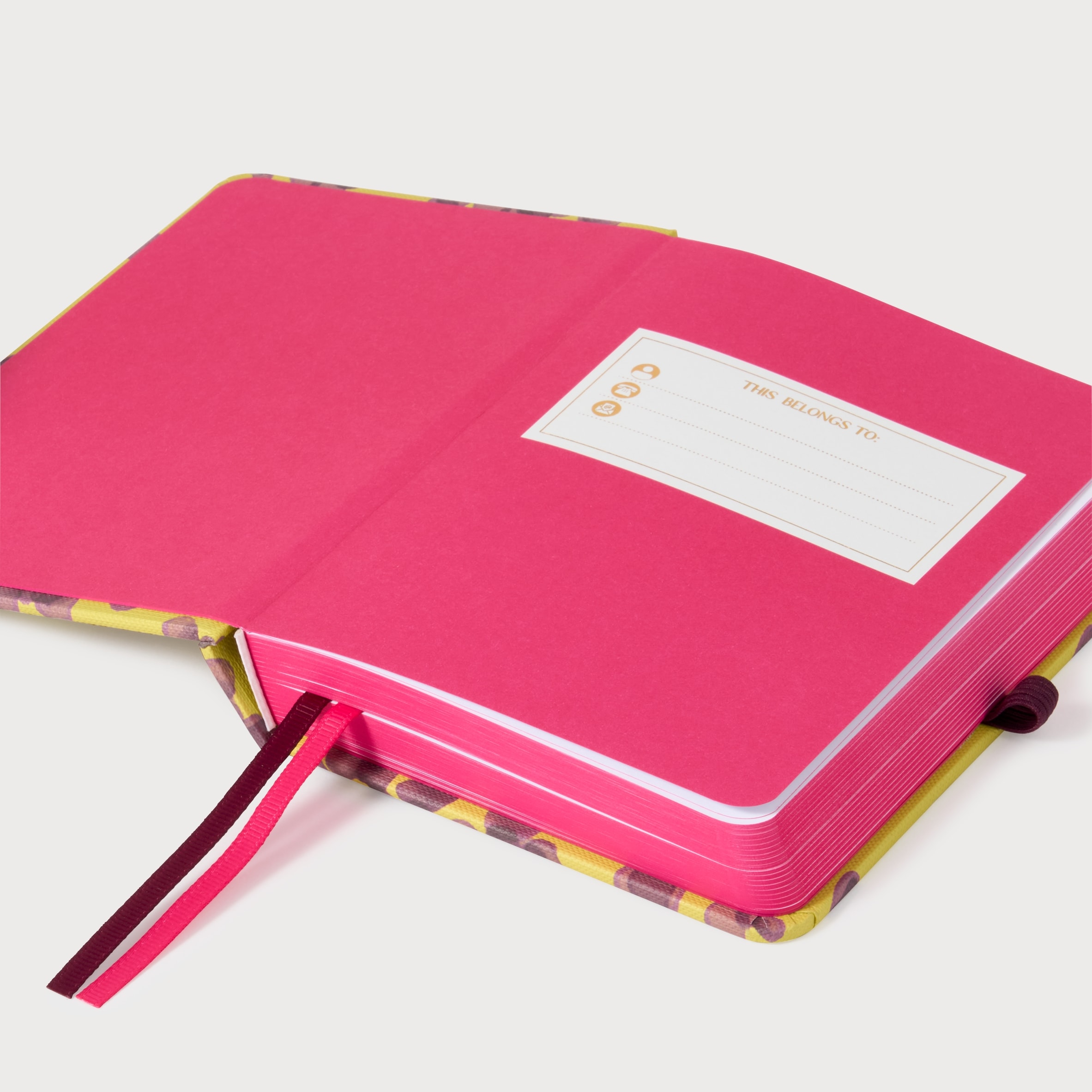 Paperchase Tropic Like its Hot A6 Casebound Gratitude Journal thumbnail 4