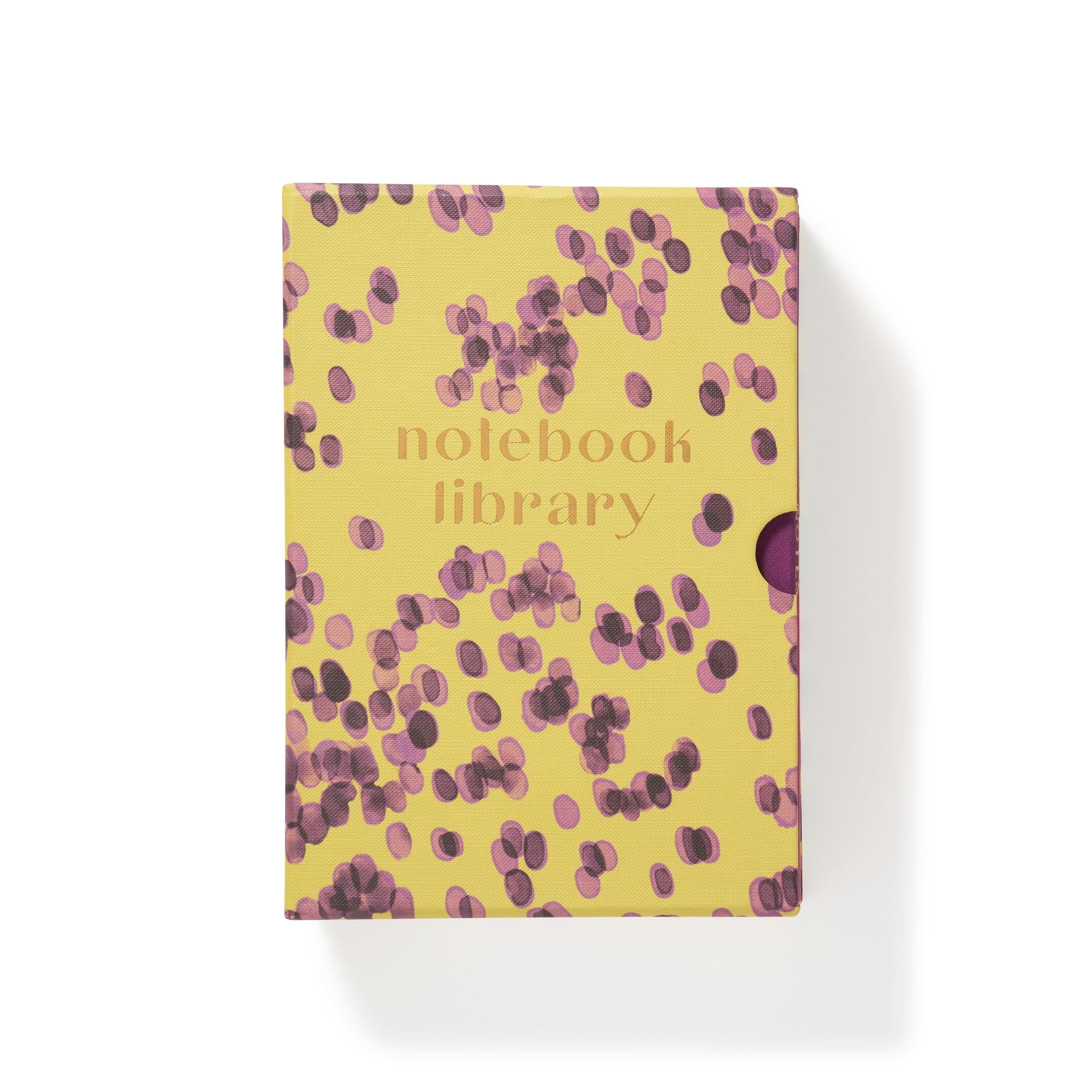 Paperchase Tropic Like its Hot Notebook Library A5 5 Pack