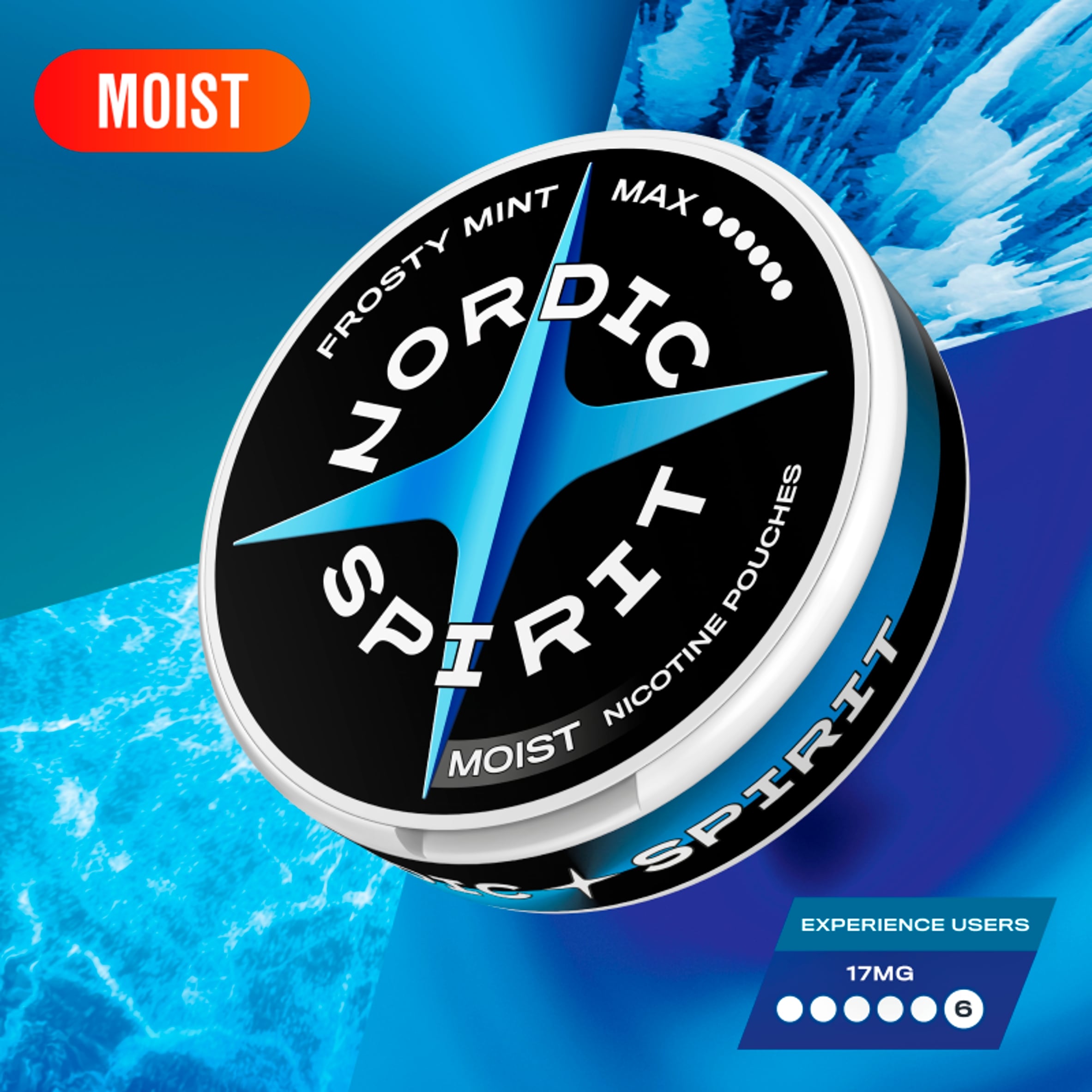 Nordic Spirit Frosty Mint Tobacco Free Nicotine Pouches MAX 20 Pack 17mg 14g thumbnail 2