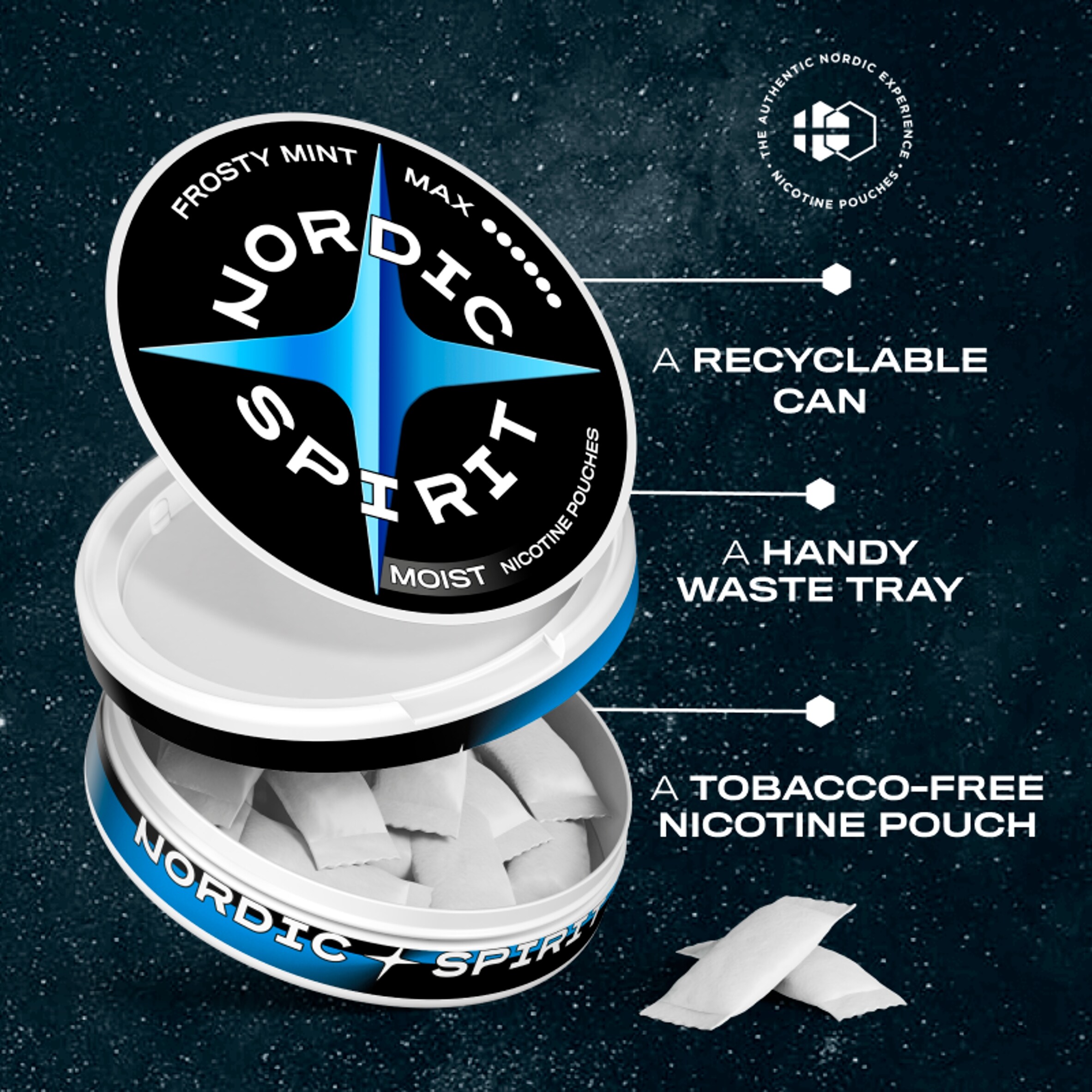 Nordic Spirit Frosty Mint Tobacco Free Nicotine Pouches MAX 20 Pack 17mg 14g thumbnail 4