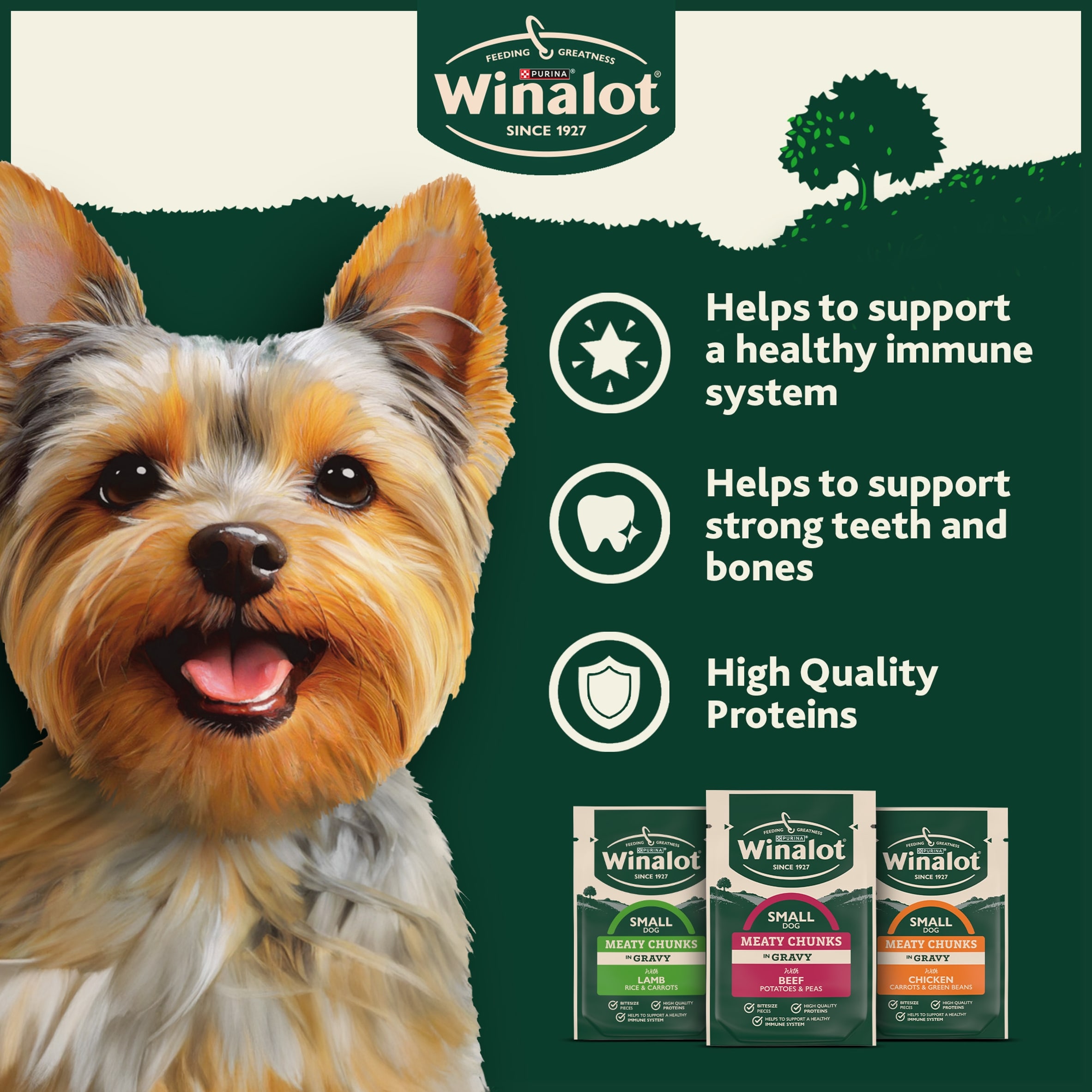 WINALOT Meaty Chunks Small Dog Mixed in Gravy Wet Dog Food 40x85g thumbnail 4