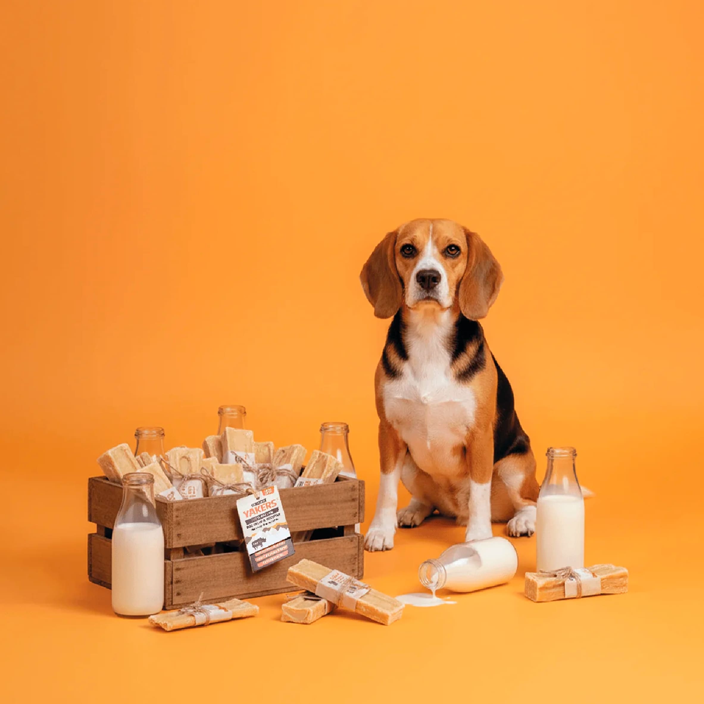 Yakers The Original 100% Natural Dog Chew & Occupier Medium thumbnail 4