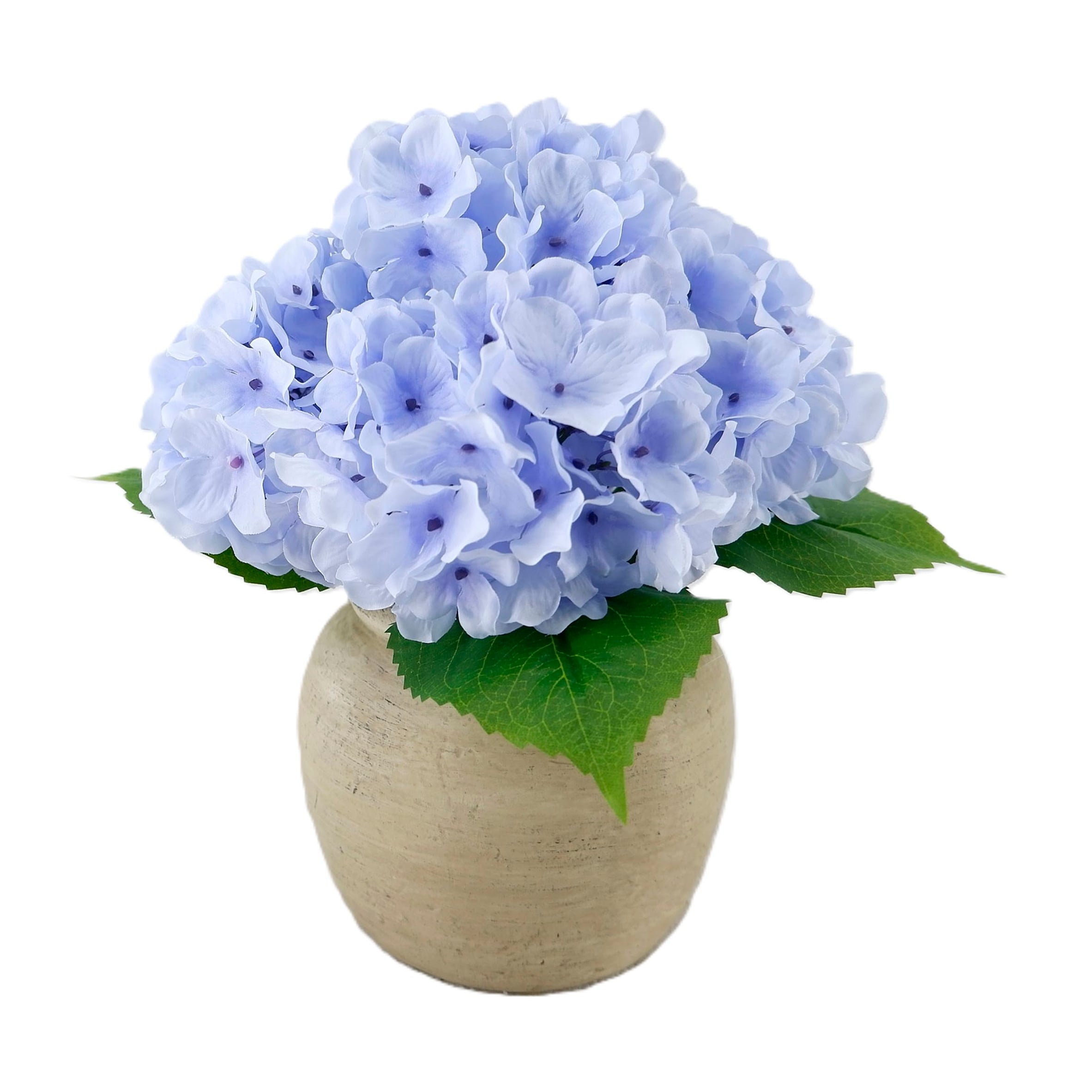 Bayswood Flora & Fern Blue Hydrangea