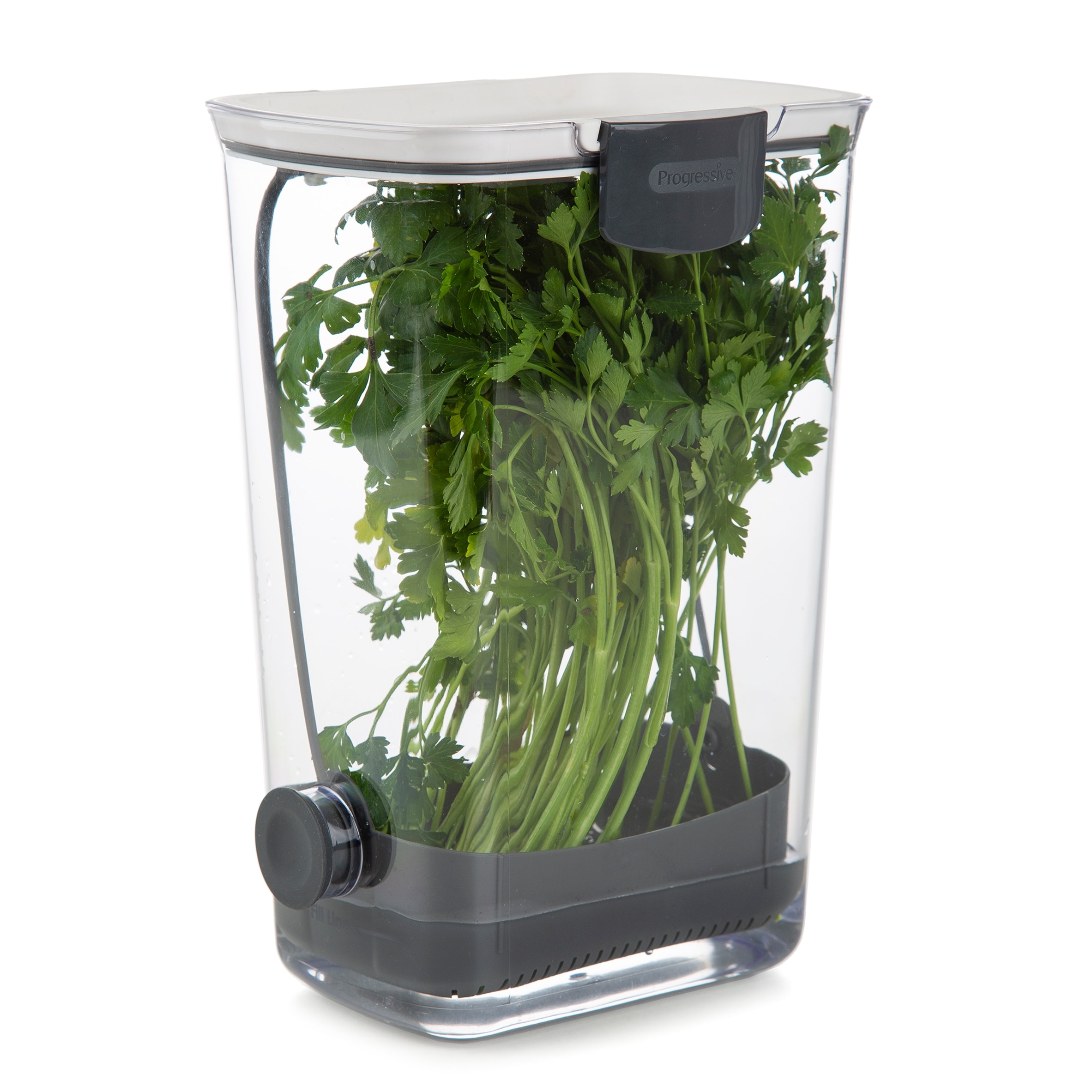Joie Herb Keeper 3.2L thumbnail 2