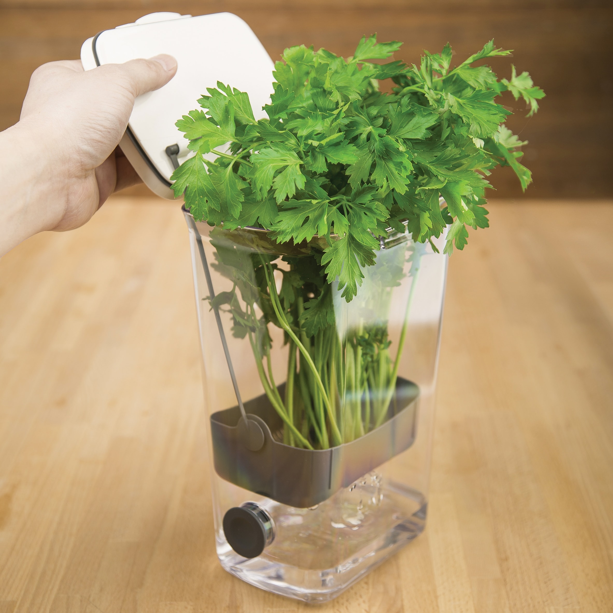 Joie Herb Keeper 3.2L thumbnail 4