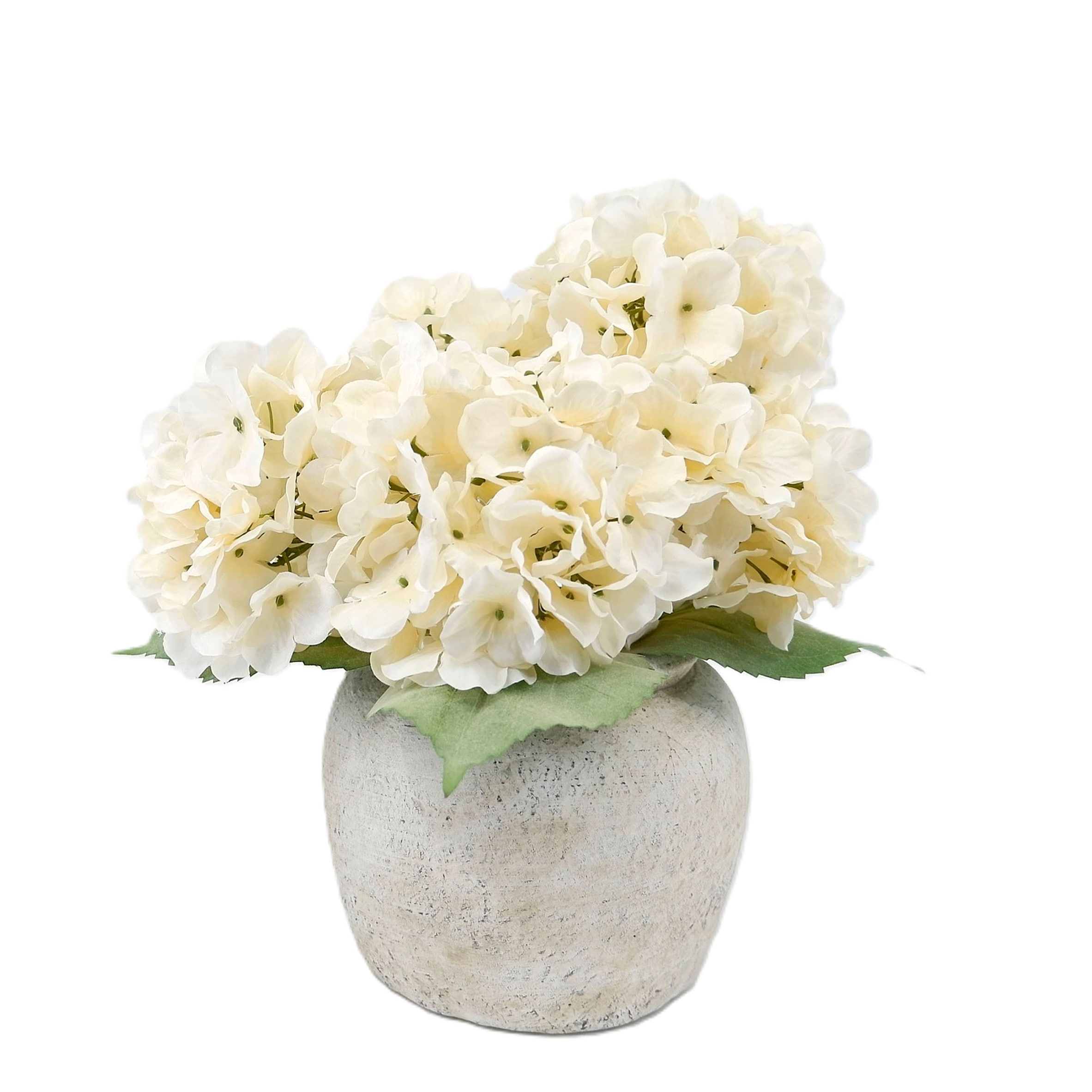 Bayswood Flora & Fern Hydrangea in cement pot