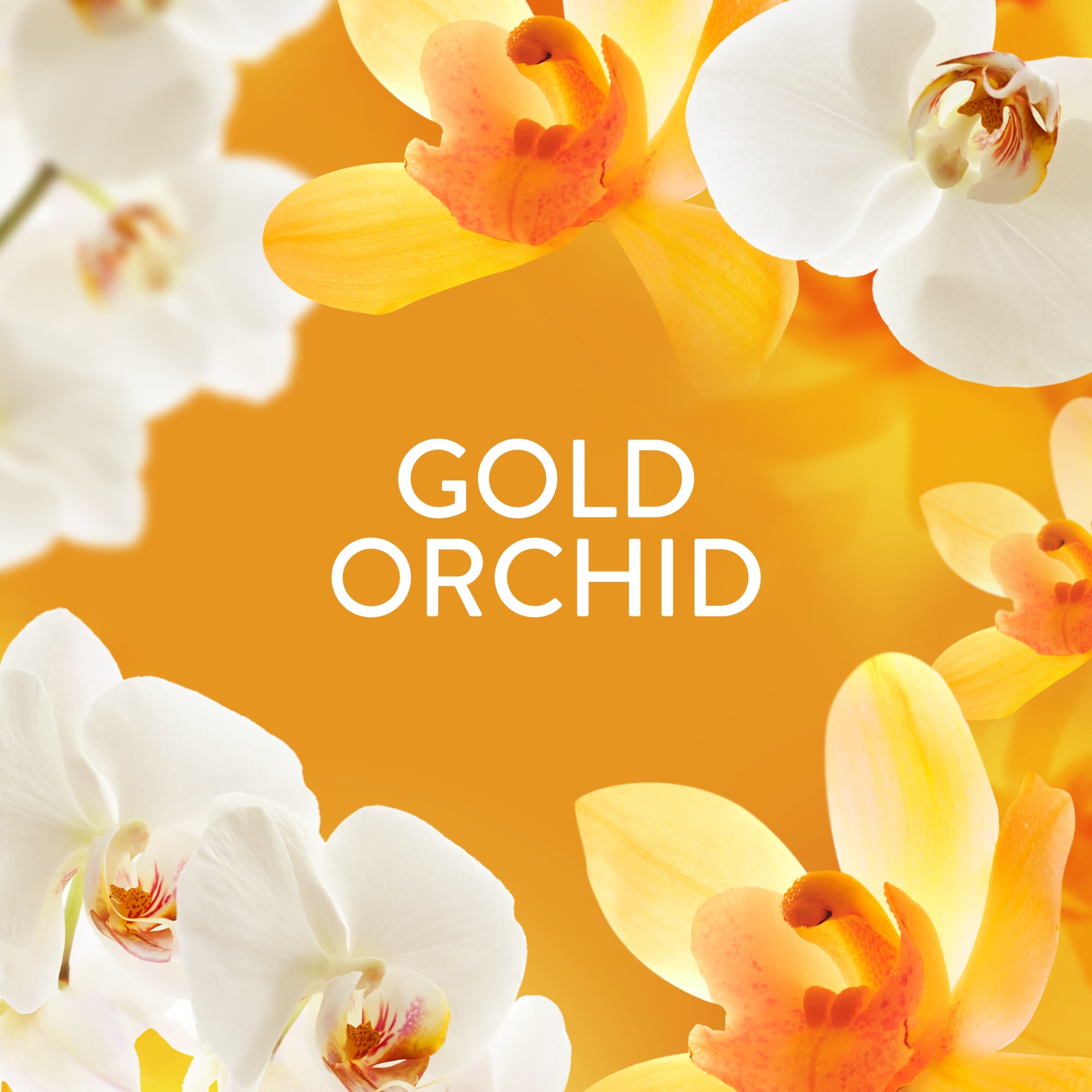 Lenor In-Wash Scent Booster Gold Orchid 425g thumbnail 4