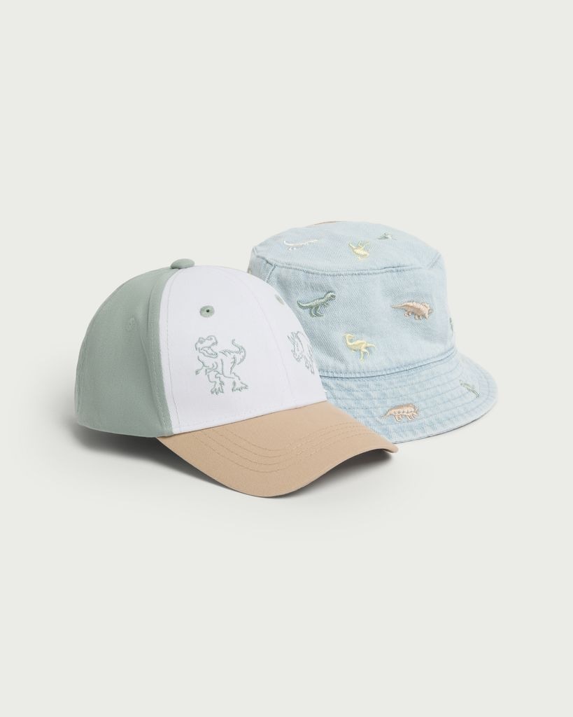 F&F Boys 2-Pack Dinosaur Embroidered Hats in Multi