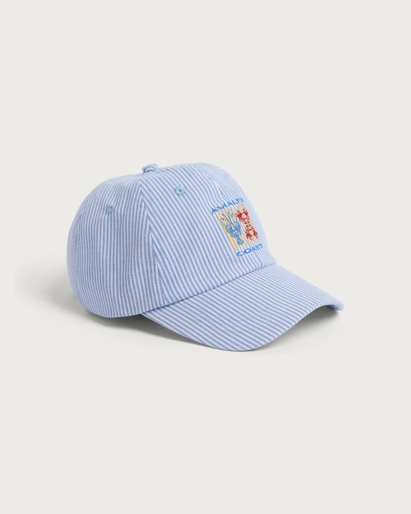 F&F Striped Embroidered Cap in Multi