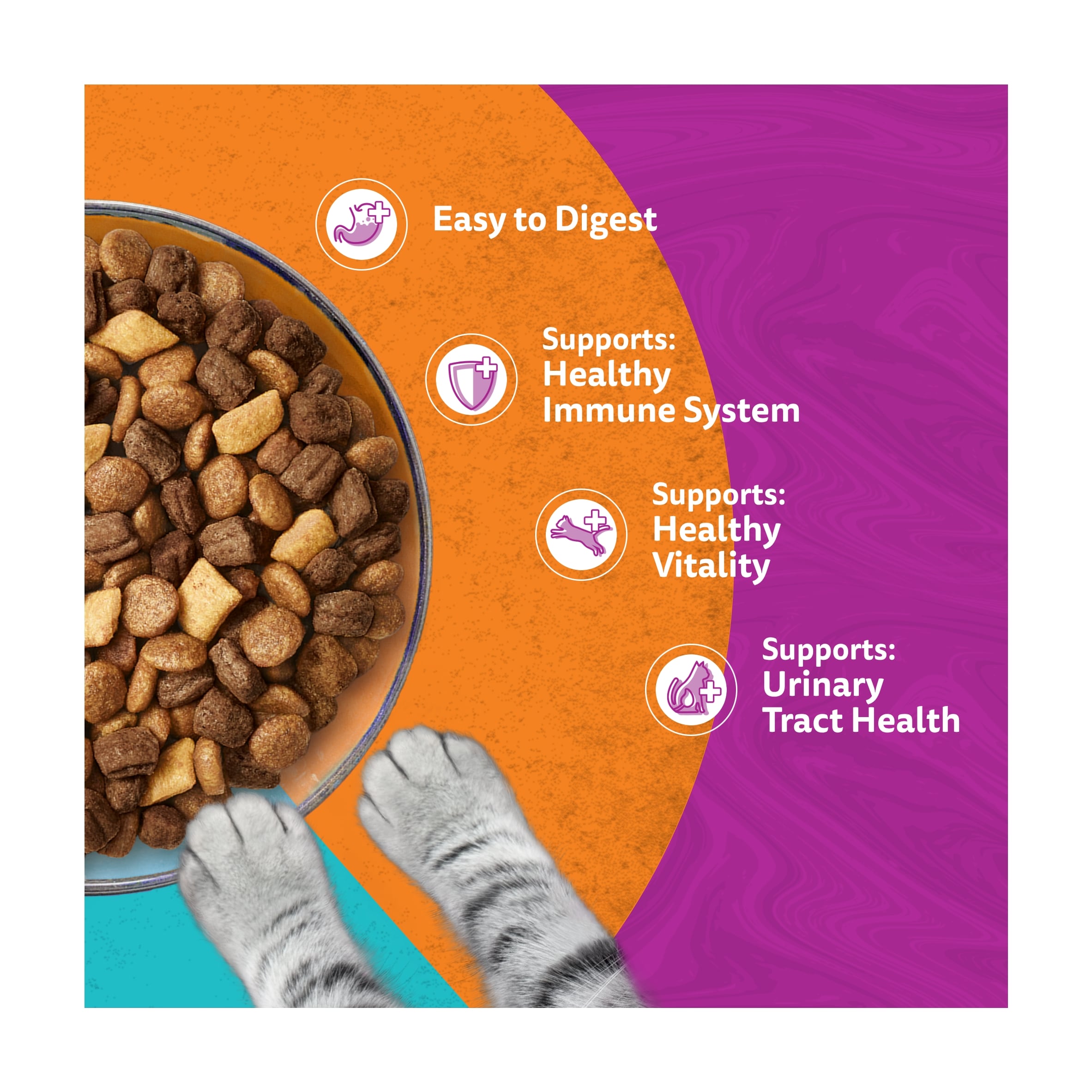 WHISKAS 1+ DUO Surf & Turf Dry Cat Food Biscuits 800g thumbnail 3