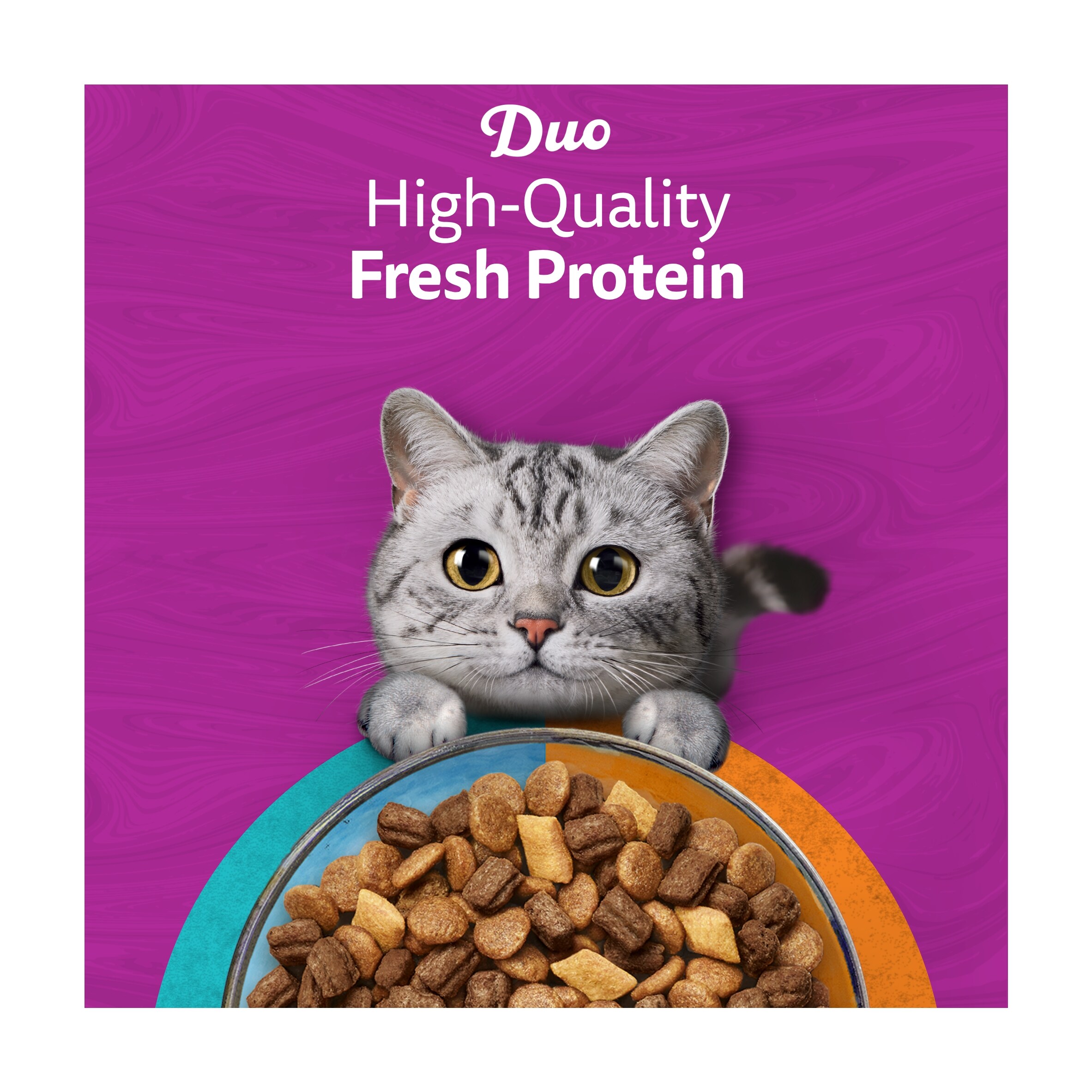 WHISKAS 1+ DUO Surf & Turf Dry Cat Food Biscuits 800g thumbnail 4