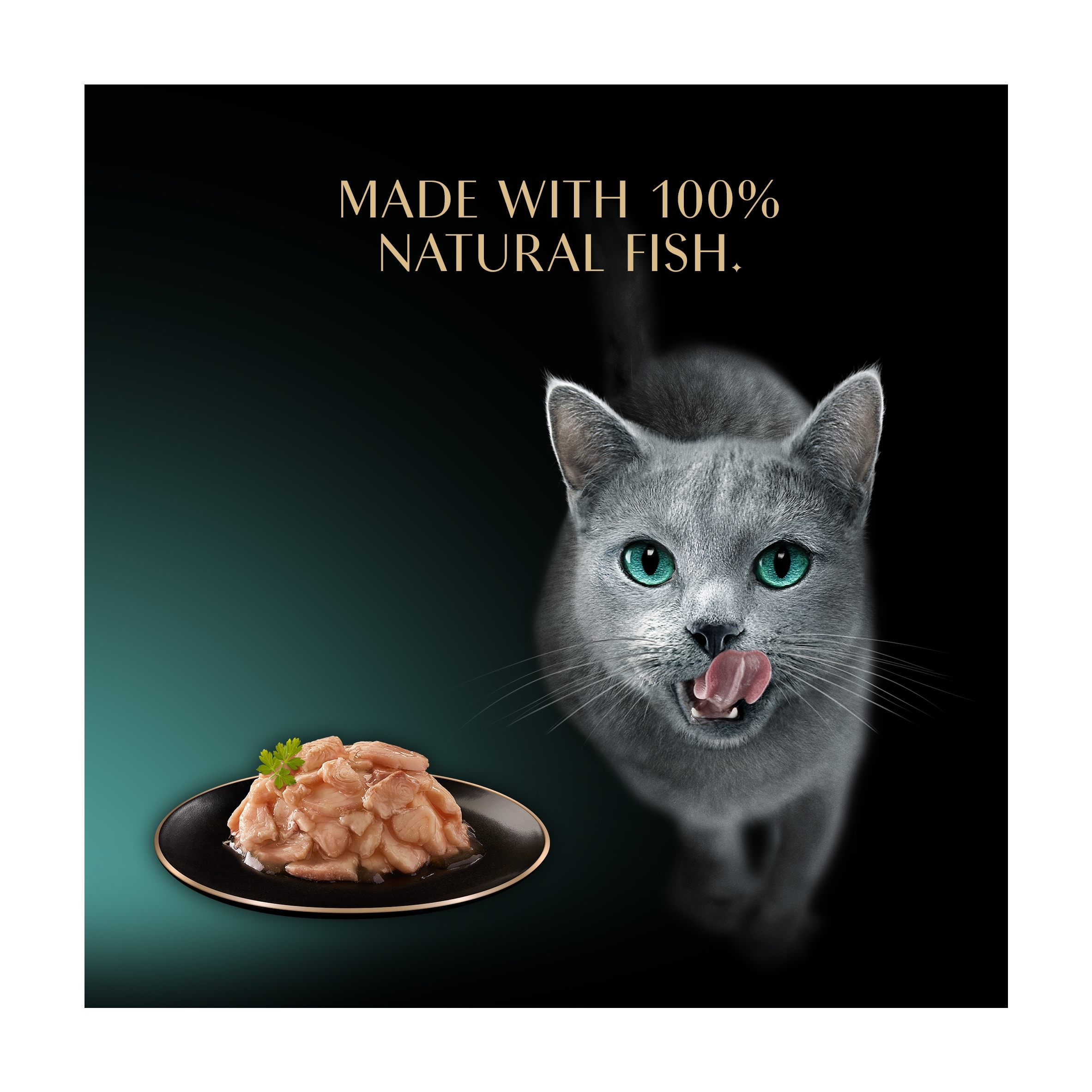SHEBA Filets Adult Cat Food Tray with Whitefish in Gravy 60g thumbnail 3