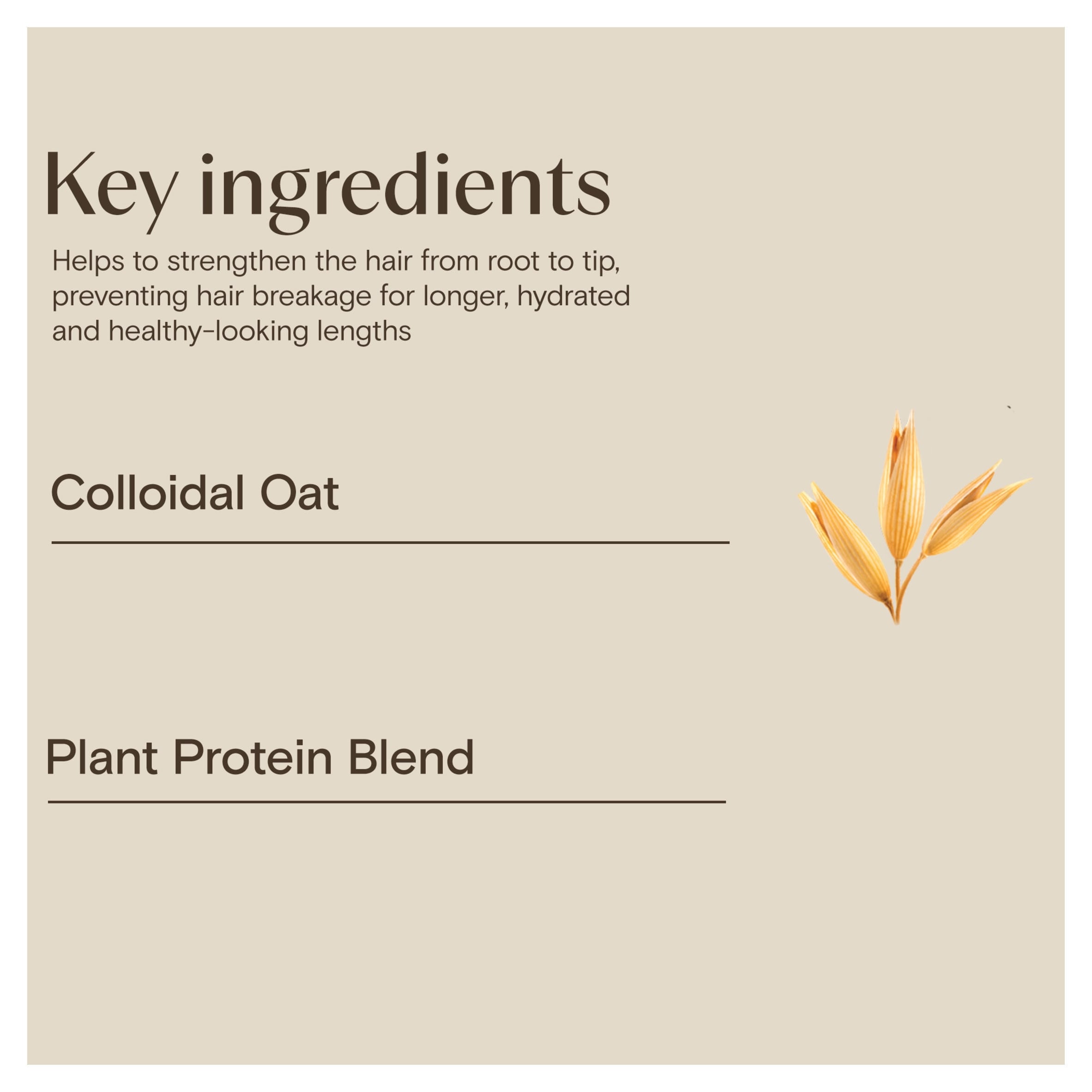 Aveeno Hair Strength + Length Plant Protein Blend Shampoo 300ml thumbnail 4