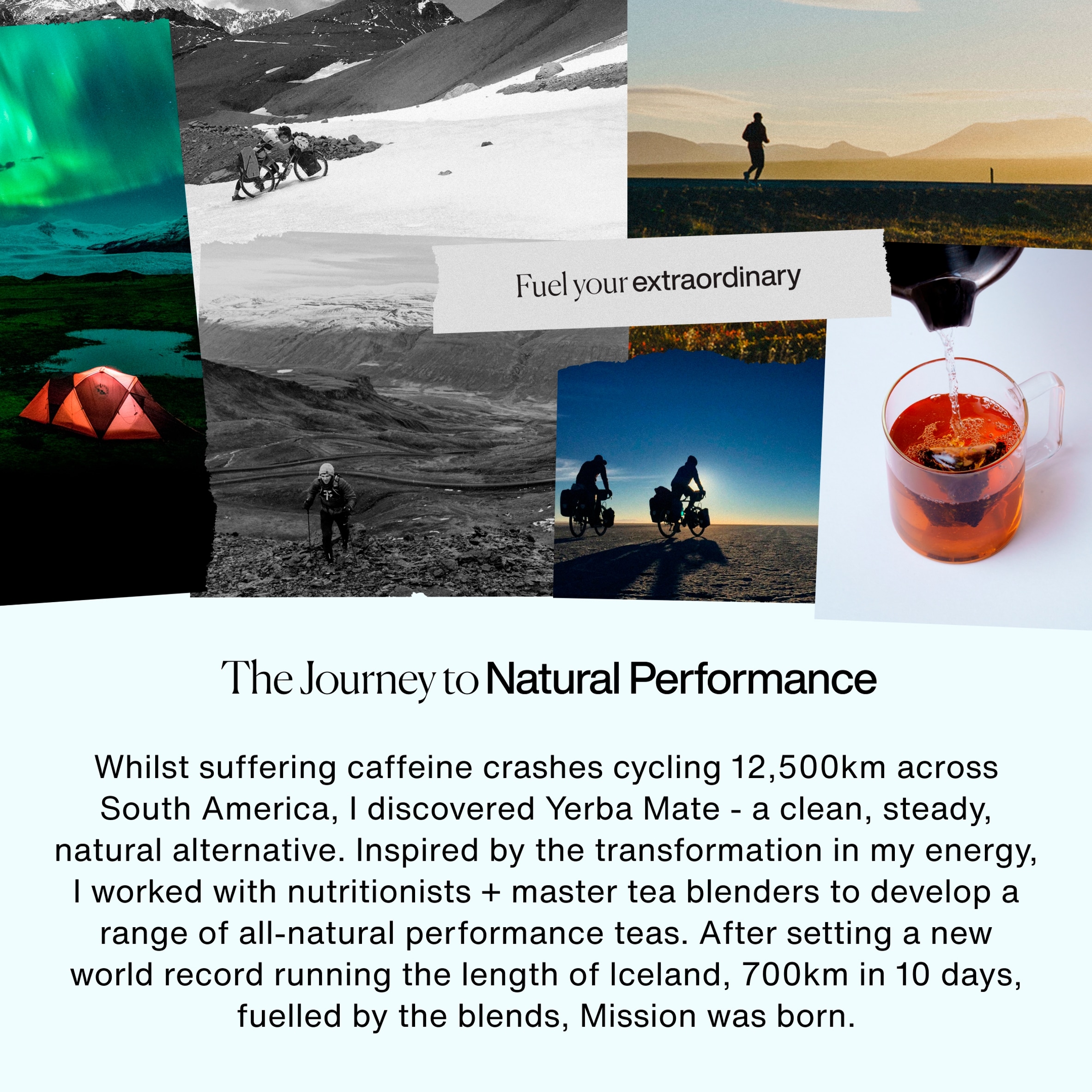 MISSION Perform Yerba Mate with Green Tea, Spearmint 15 Tea Bags 30g thumbnail 3